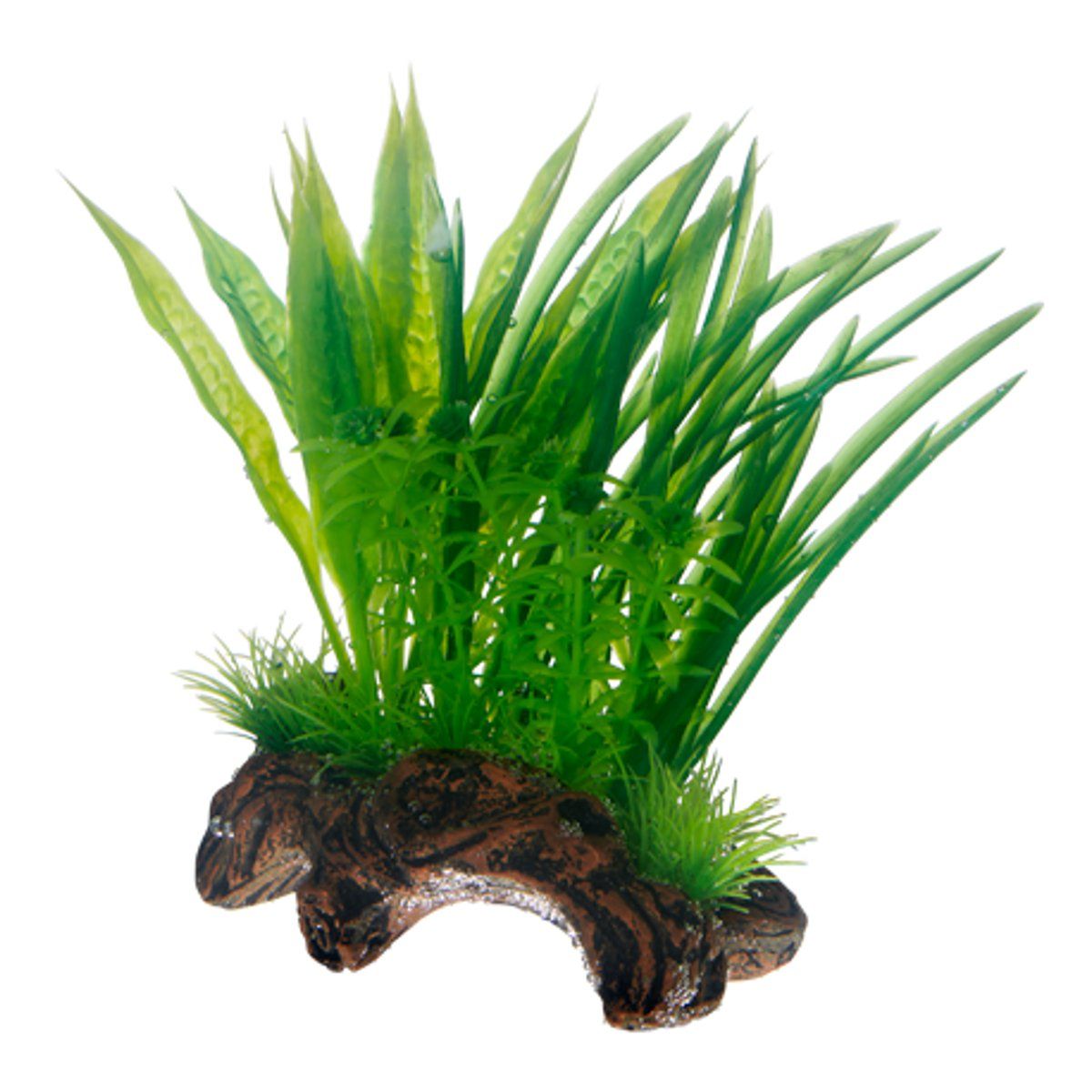 Hobby Flora Root 1