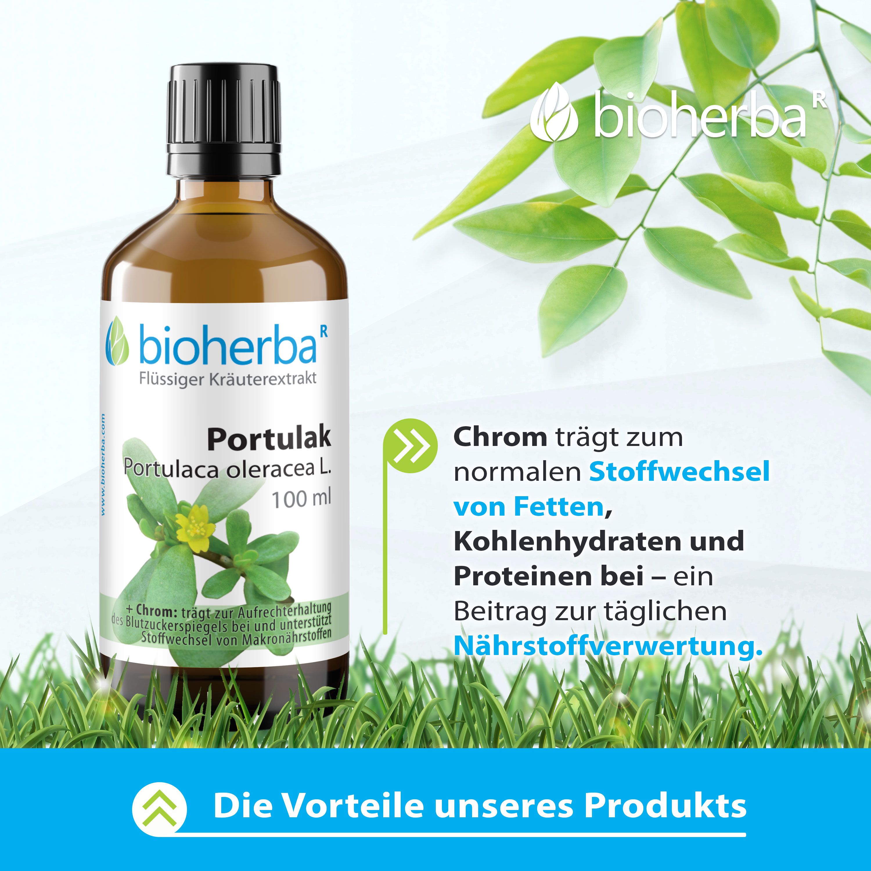 Braune Flasche mit Etikett, Logo und Produktnamen. Text über die Vorteile des Produkts und Pflanzen.