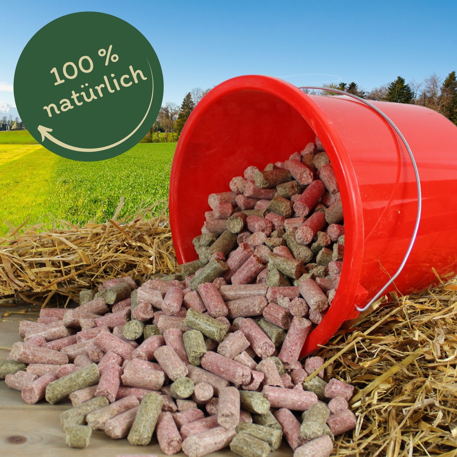 Roter Eimer mit Snacks, umgestürzt. Aufschrift: 100% natürlich. Stroh- und Wiesen-Hintergrund.
