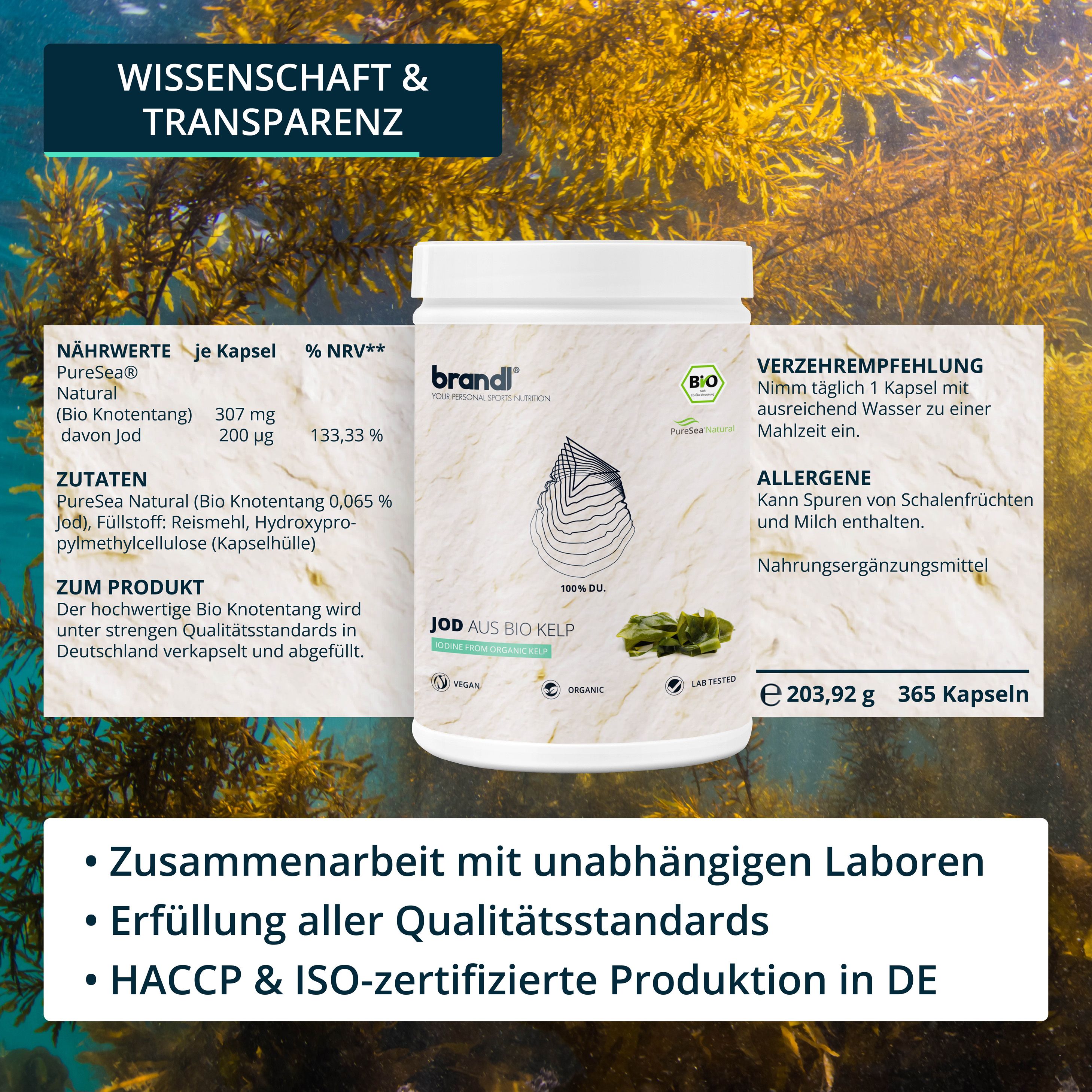 brandl® Jod aus Bio Kelp Algen von PureSea®