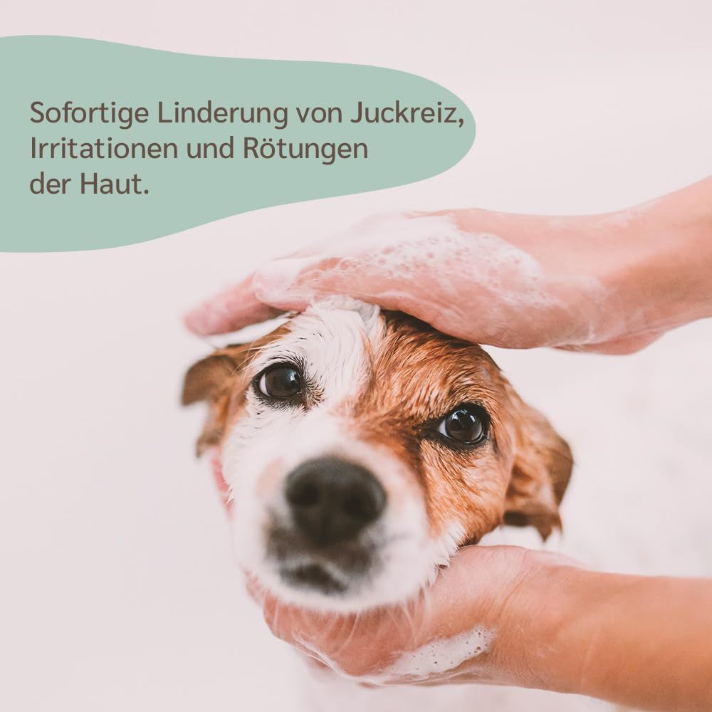 amusi Dermatitis-Hundeshampoo