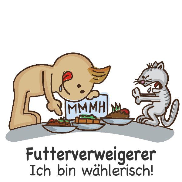 Edis Pets Futterverweigerer Bio Bachblüten für Katzen