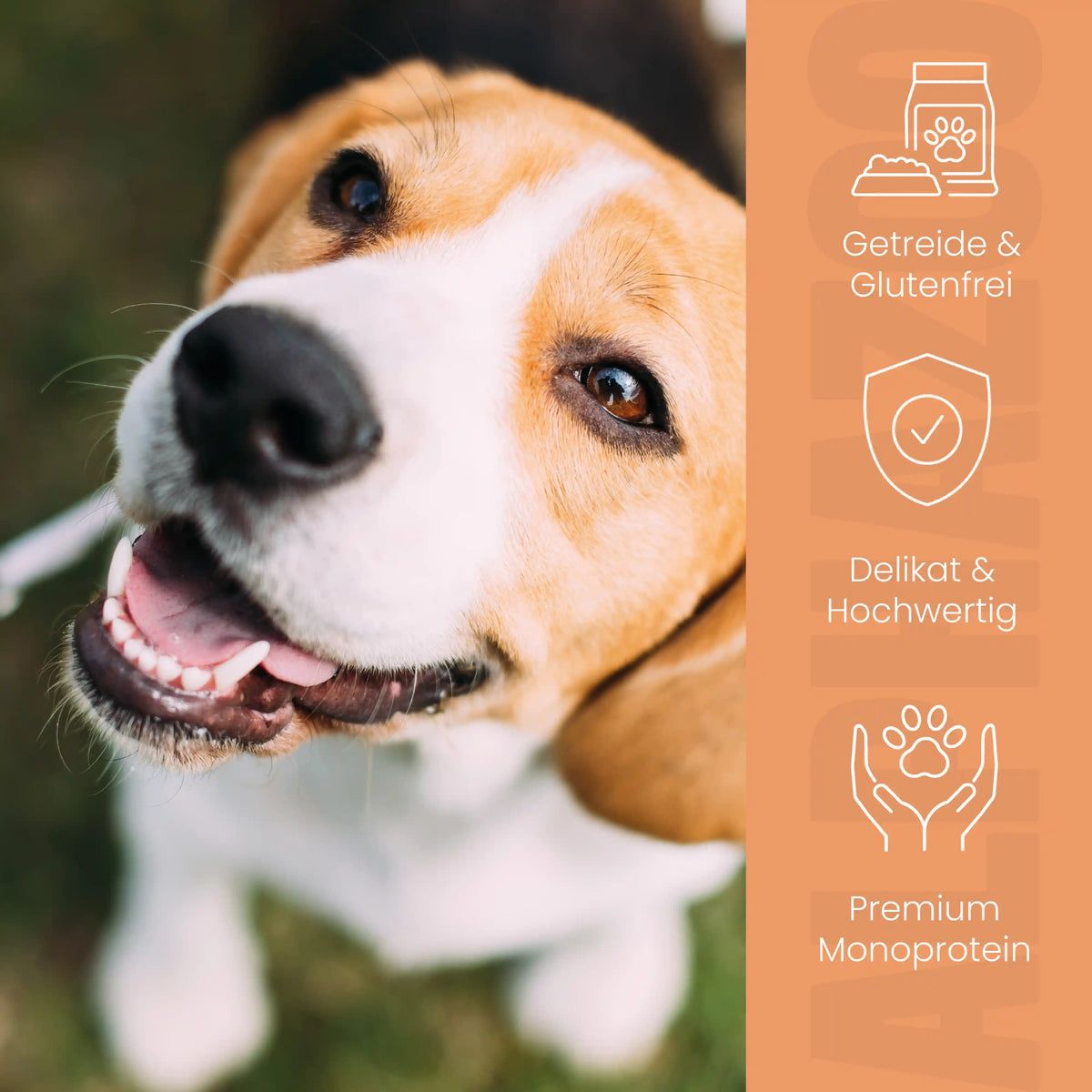 alphazoo Probierschmaus für Hunde – Nassfutter Probierpaket