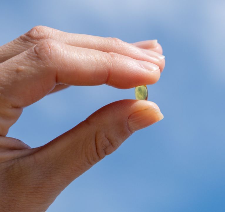 Daumen und Zeigefinger halten ein einzelnes Aavalabs Vitamin D3 Softgel.