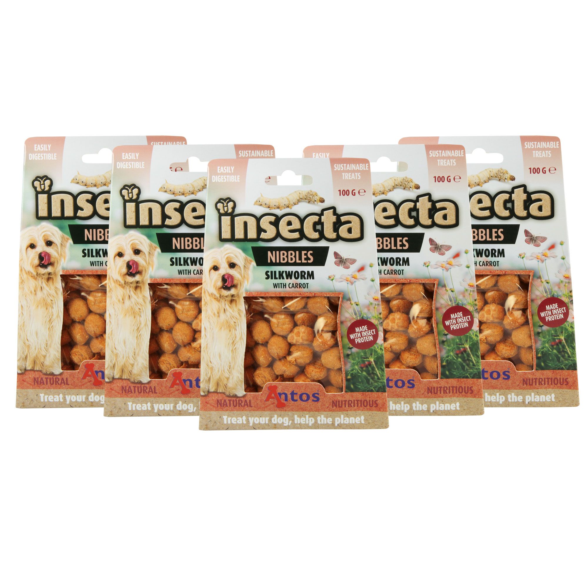 Mehrere Packungen Hundekekse mit Insektenprotein. Aufschrift: Insecta Nibbles Silkworm with Carrot. Verpackung mit Hundefoto.