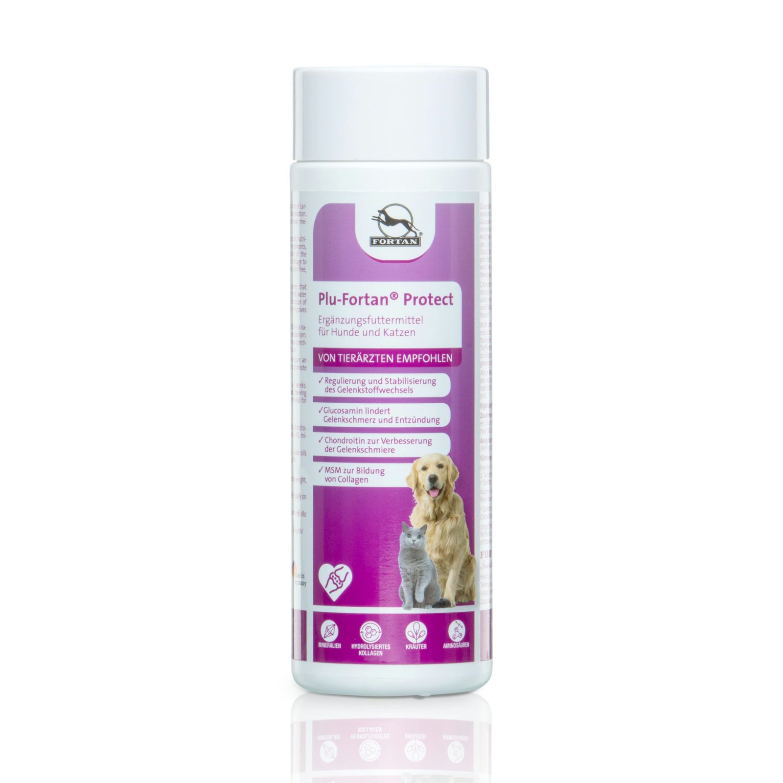 Plu-Fortan Protect Tabletten für Hunde und Katzen. Weiße Flasche mit lila Etikett, Produktabbildung und Logo.