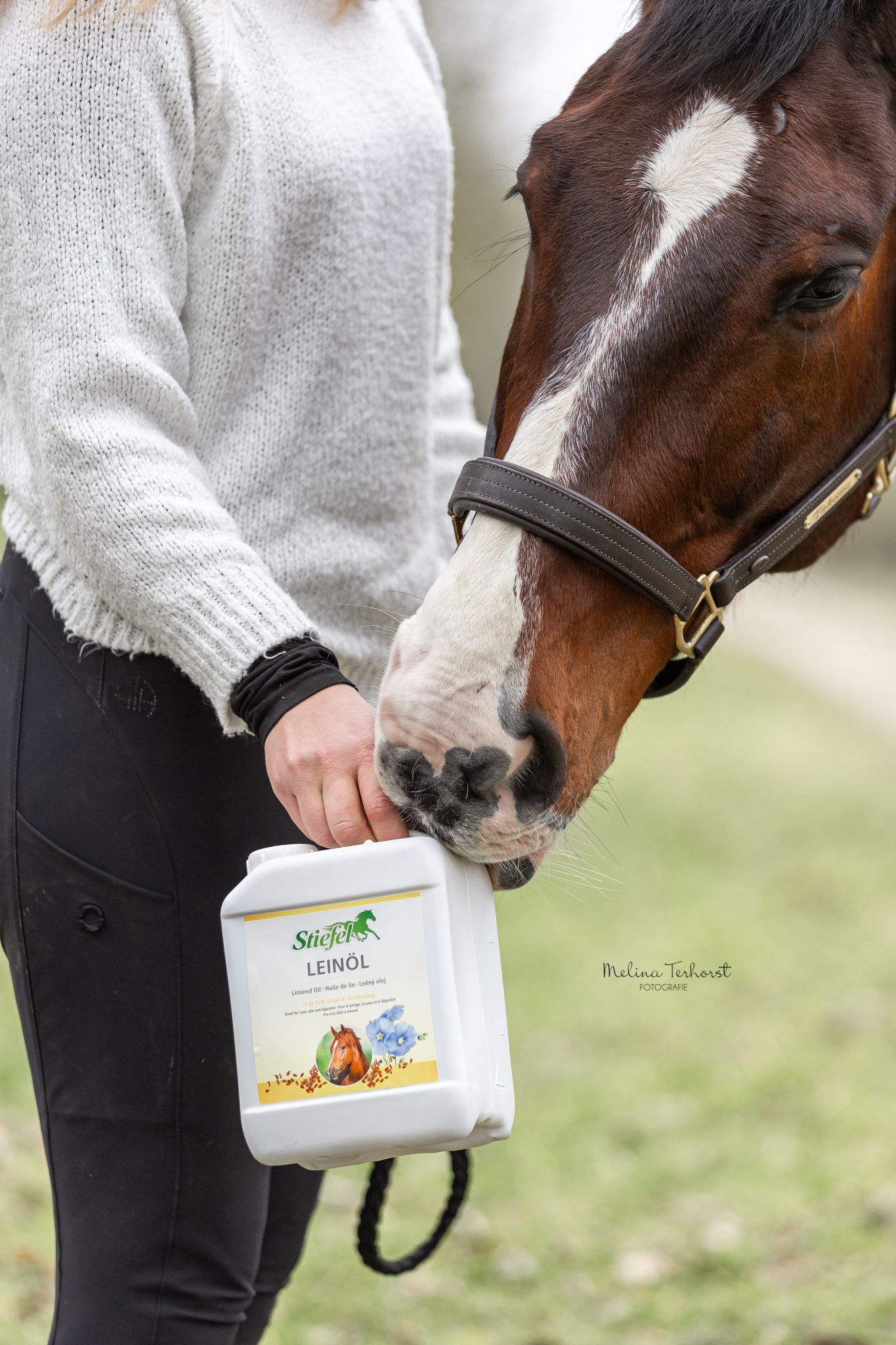 Person hält weißen Kanister mit gelbem Etikett. Aufschrift: Stiefel Leinöl. Pferd berührt den Kanister. Im Hintergrund ein Pferd.