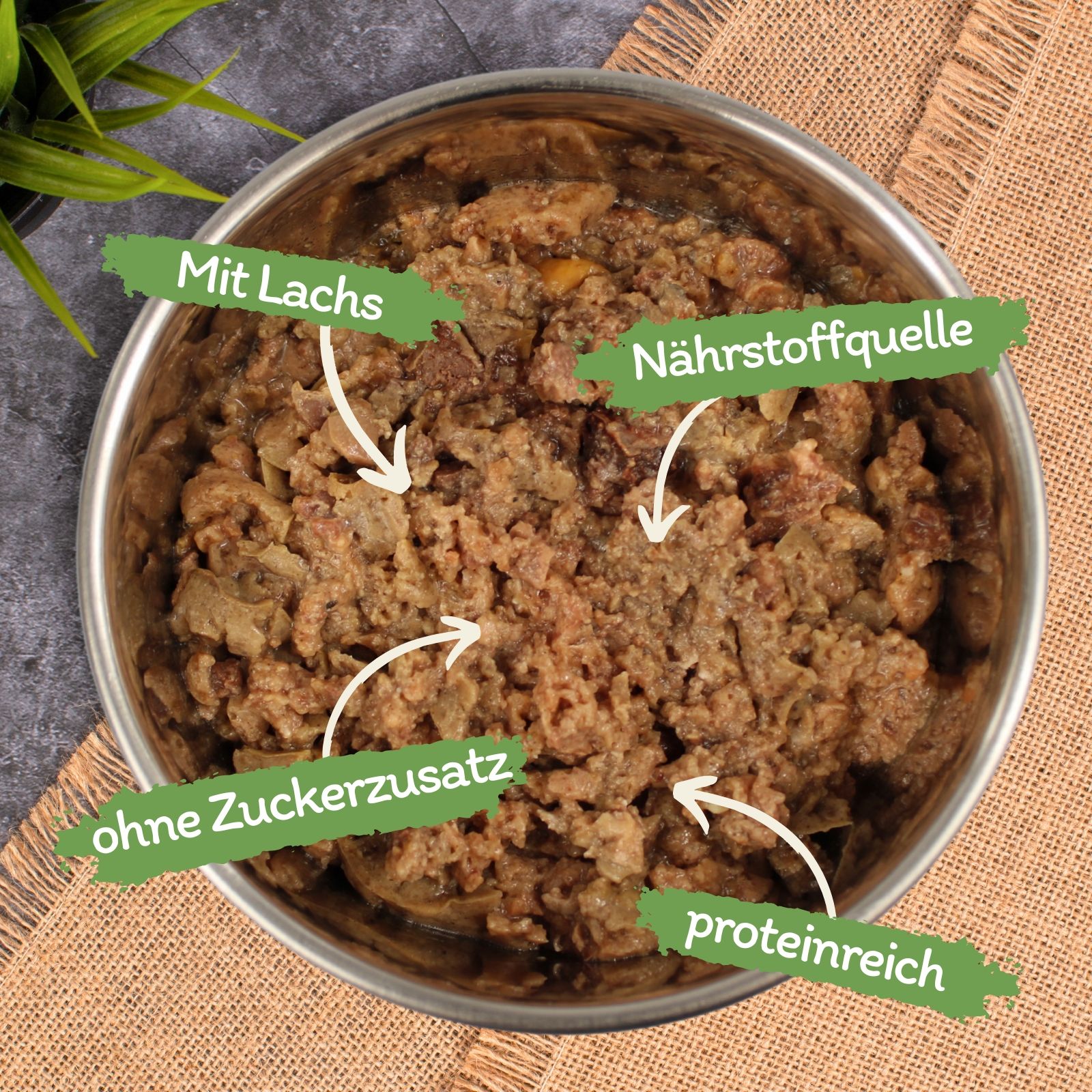 Hundefutter in Edelstahlnapf: Lachs, nährstoffreich, ohne Zuckerzusatz, proteinreich.