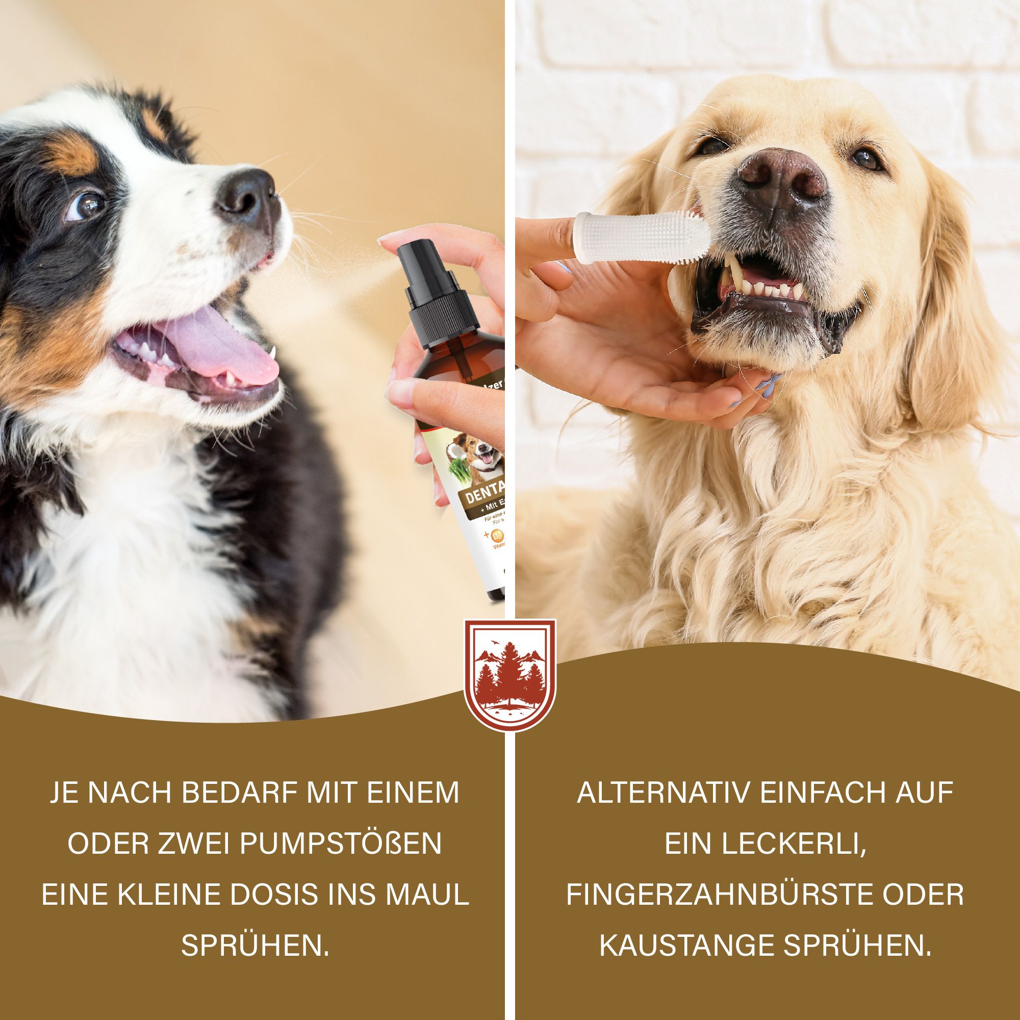 Veddelholzer Probiotisches Dentalspray Set für Hunde & Katzen