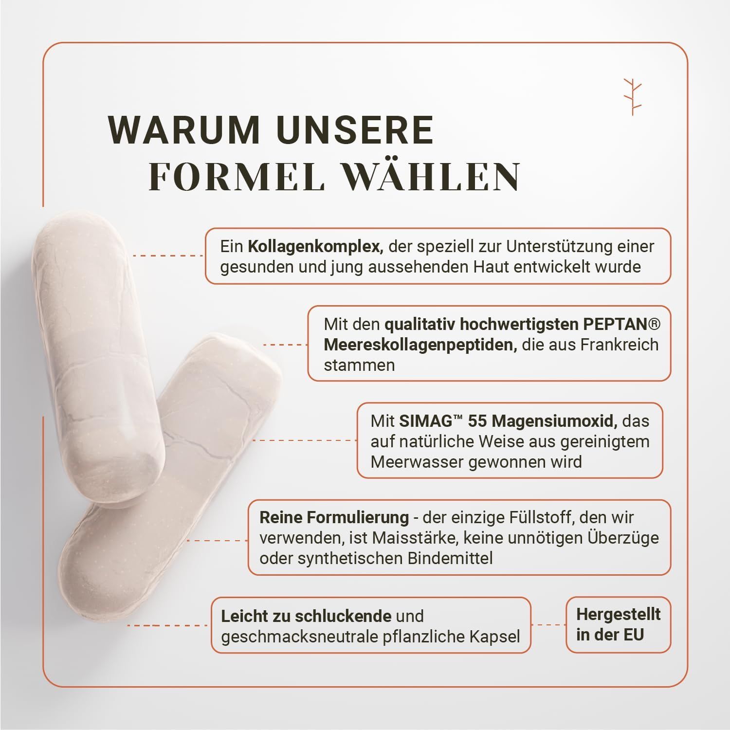 Nullure Kollagen – Marine Kollagen mit Hyaluronsäure und Vitamin C