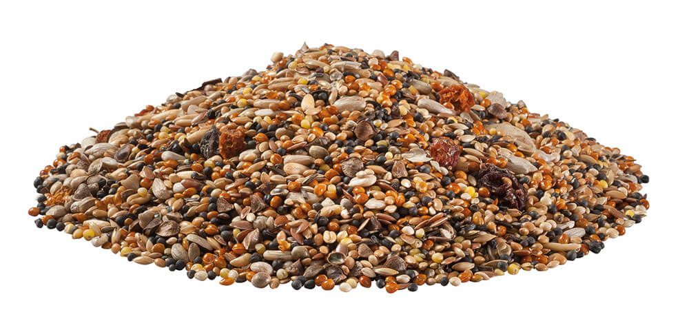 Haufen Vogelfutter, verschiedene Samen und Körner. Nahaufnahme, helle Beleuchtung.