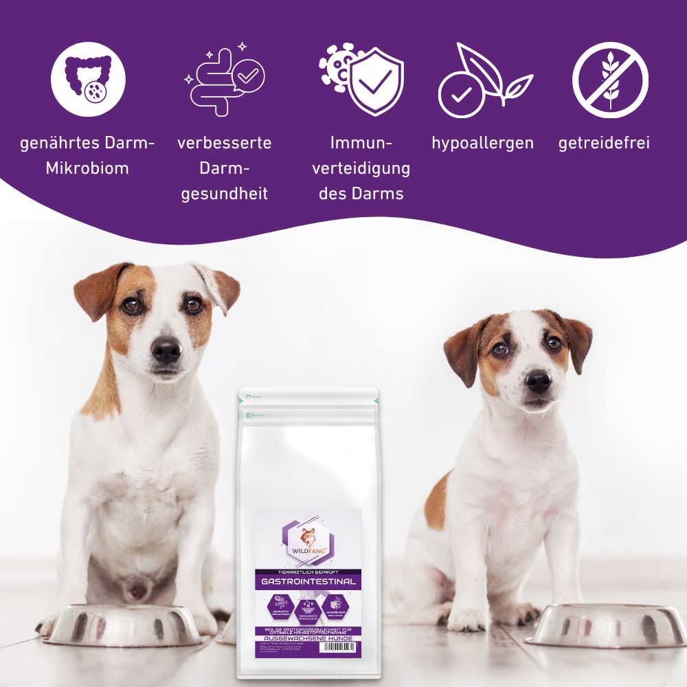 VetLine Trockenfutter mit Peptiden für Hunde - Gastrointestinal
