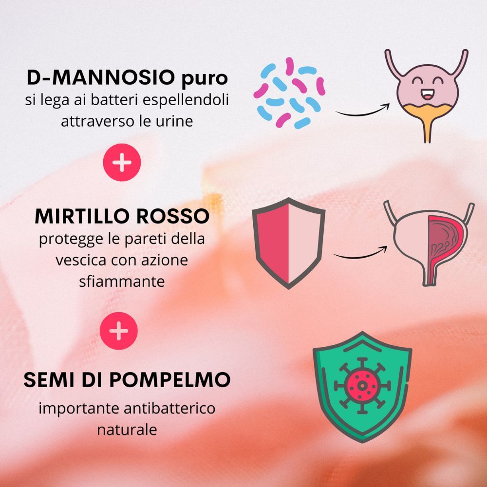 Rappresentazione grafica: D-mannosio, mirtillo rosso, semi di pompelmo. Illustrazioni di batteri, vescica e scudi.