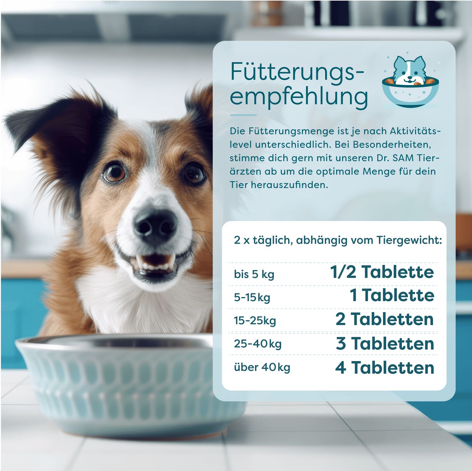 Ein Hund vor einer blauen Schüssel. Text mit Fütterungsempfehlungen. Tabellen mit Dosierungsangaben nach Gewicht.