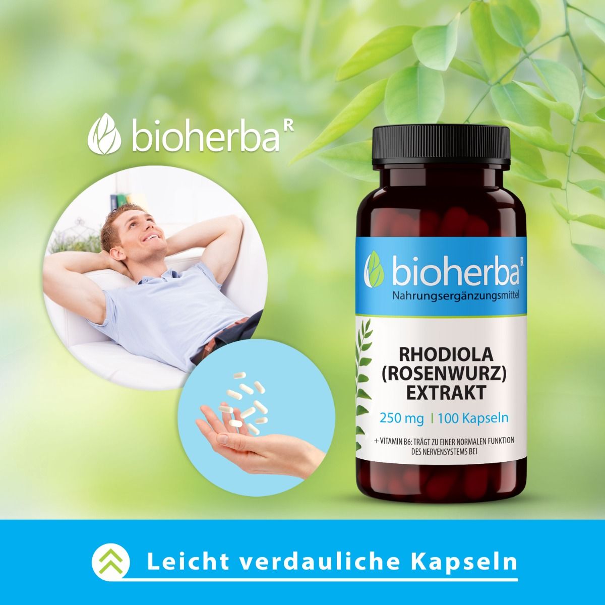 Mann liegt entspannt. Braune Flasche mit Kapseln. Text: Rhodiola (Rosenwurz) Extrakt, 250 mg, 100 Kapseln. Leicht verdauliche Kapseln.
