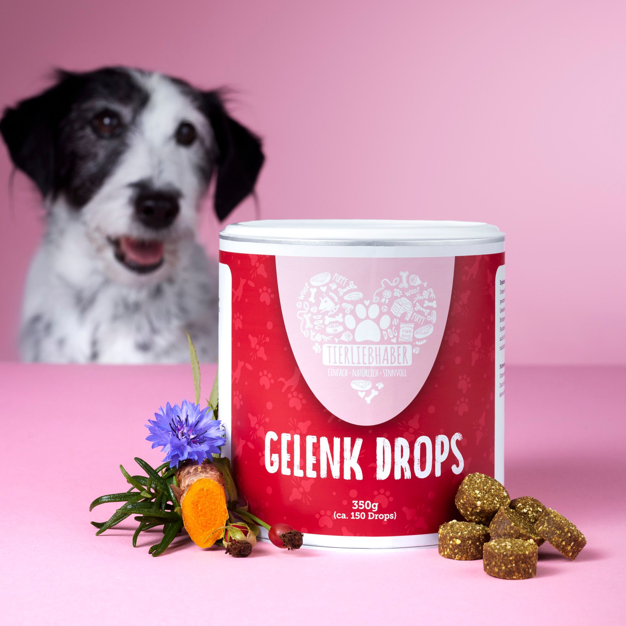 Rote Dose "Gelenk Drops" mit Hund, Kräutern und Drops. Drops und Kräuter liegen vor der Dose. Rosa Hintergrund.