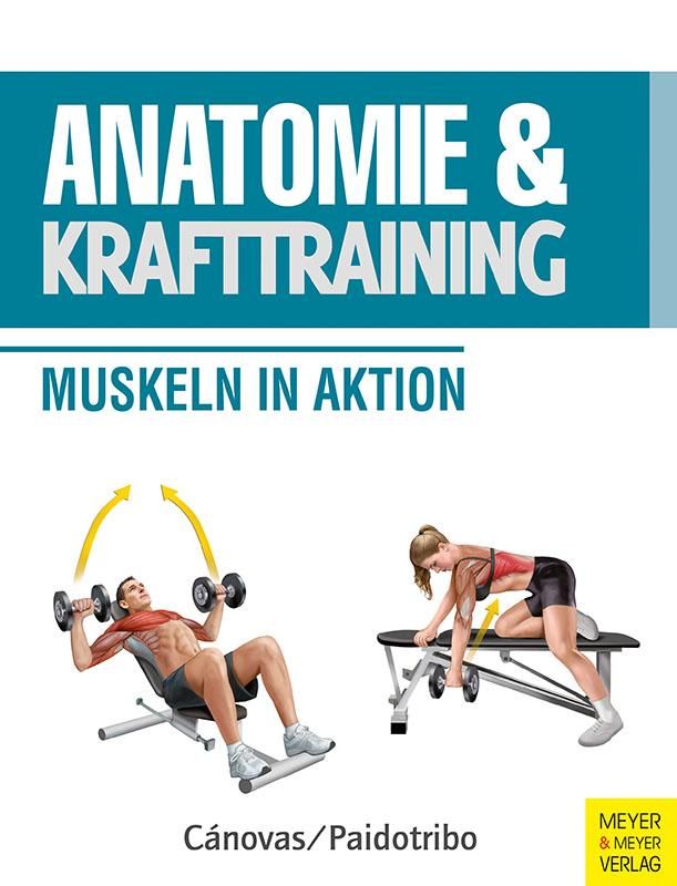 Anatomie & Krafttraining Muskeln in Aktion