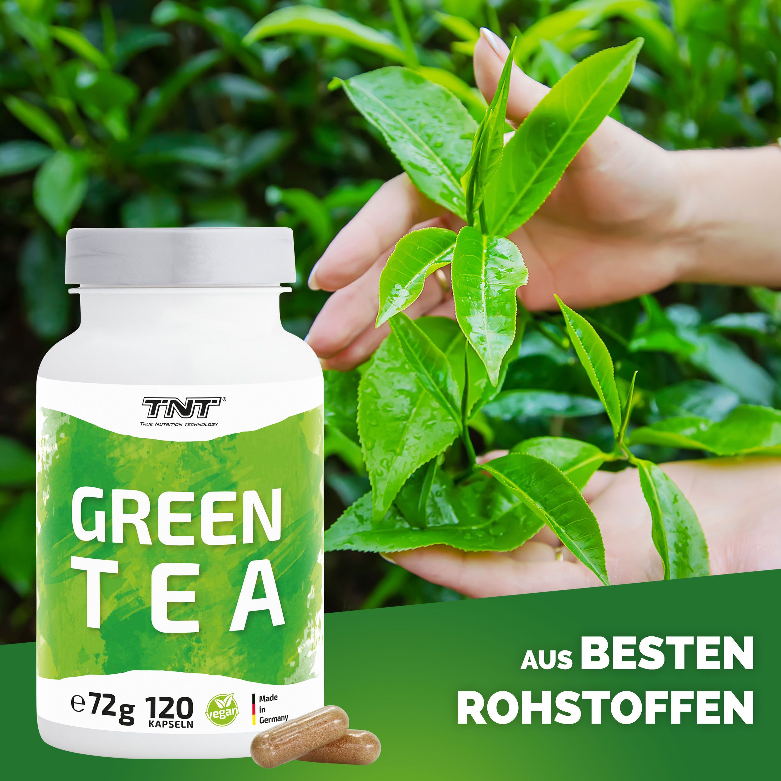 TNT Green Tea