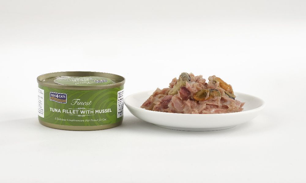 Thunfischfilet mit Grünlippmuschel in Dose und auf Teller. Dose mit Etikett, Text: Finest Thunfischfilet mit Muschel. Auf Teller angerichtetes Futter.