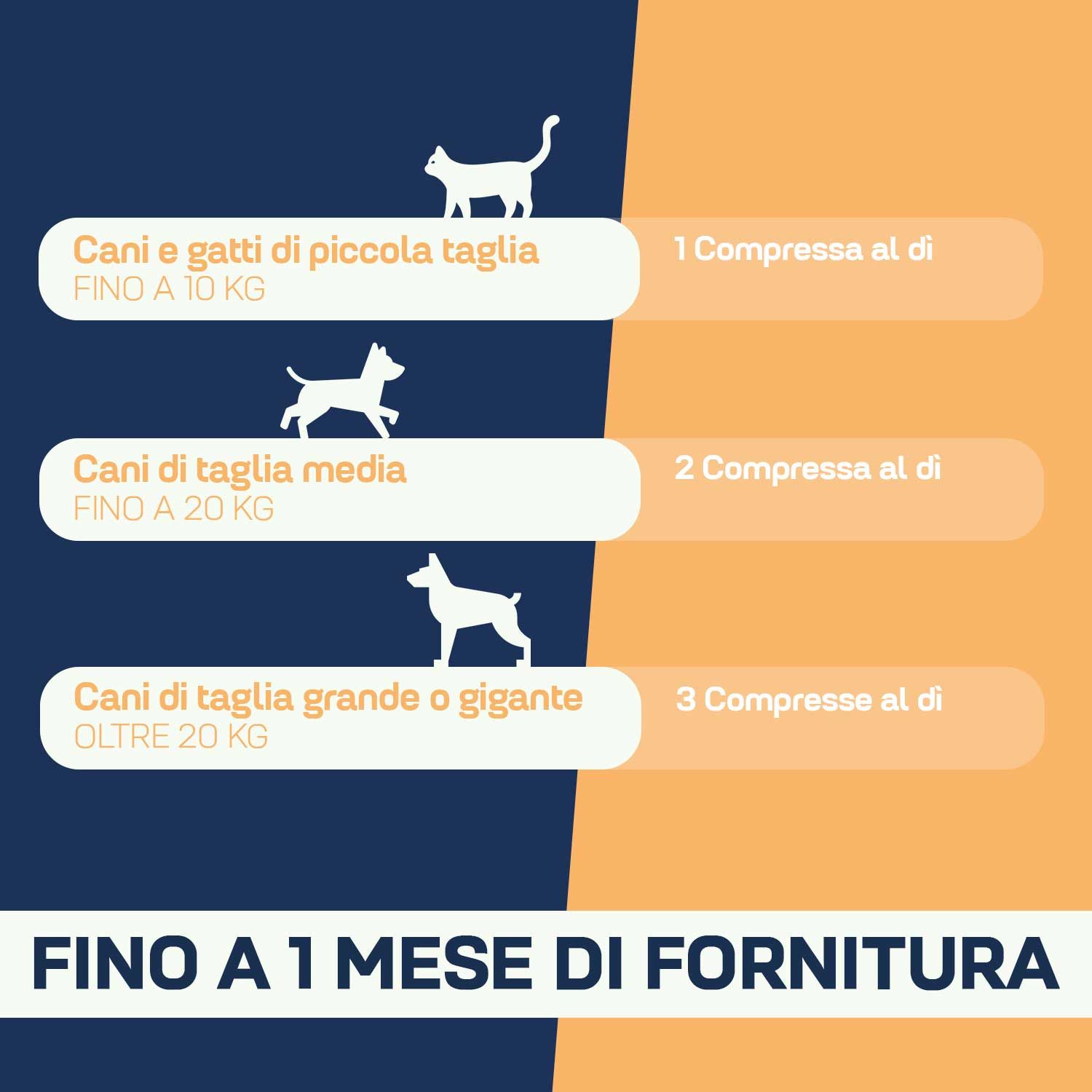 Infografica con raccomandazioni di dosaggio per "360 PET DEFENDER". Per cani piccoli, medi e grandi.