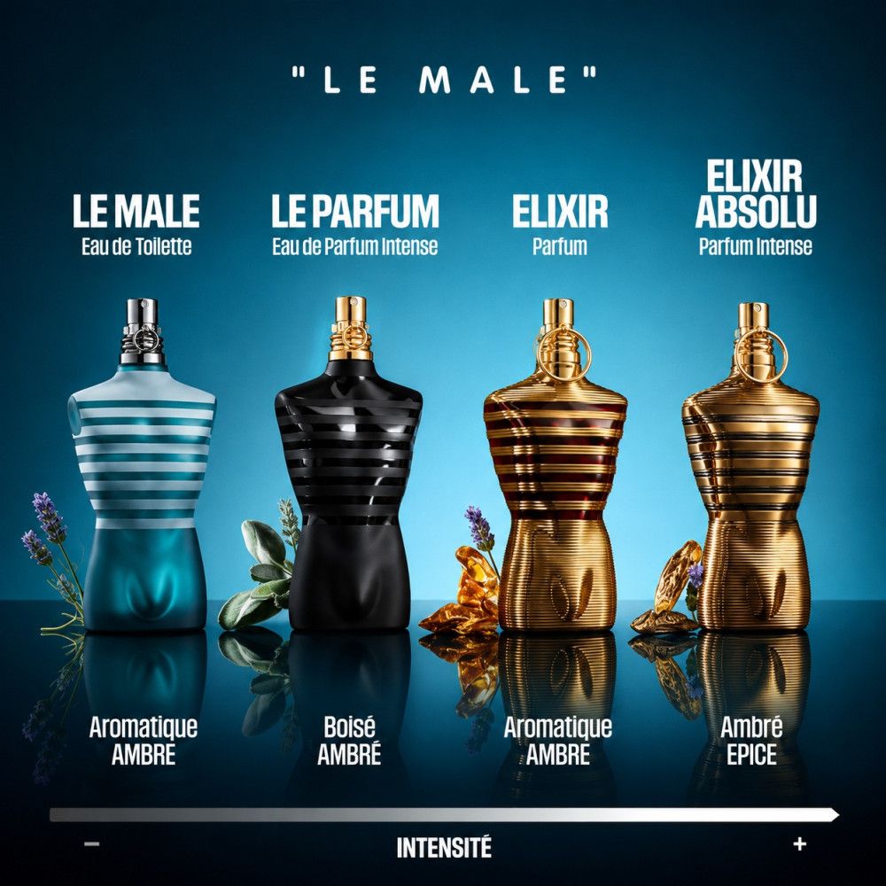Vier Jean Paul Gaultier Flakons: Le Male, Le Parfum, Elixir, Absolu, mit Duftnoten.
