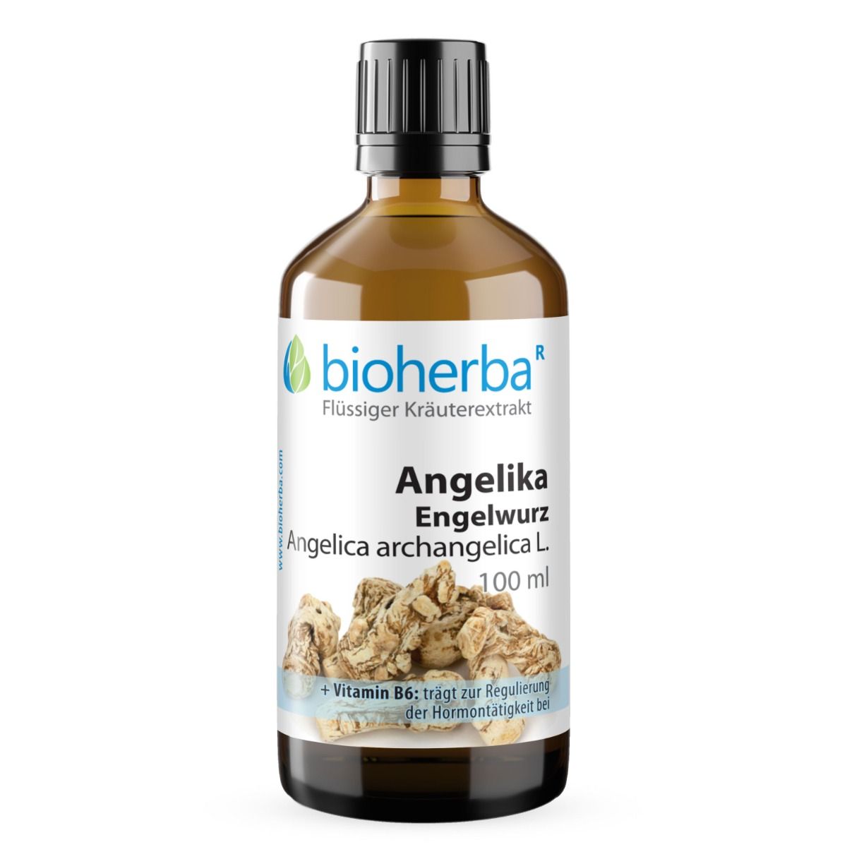 Braune Glasflasche mit schwarzem Deckel. Bioherba Angelika Engelwurz Tropfen. Etikett mit Produktinformationen. 100 ml.