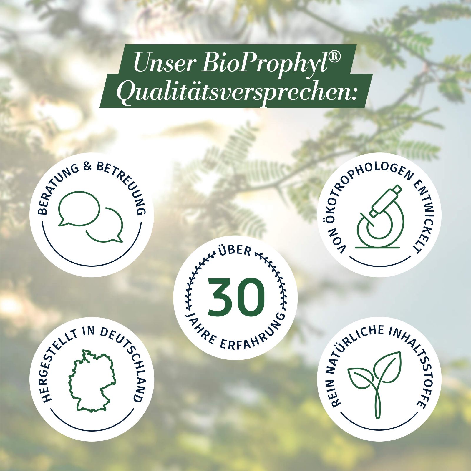 BioProphyl Darmsanierung