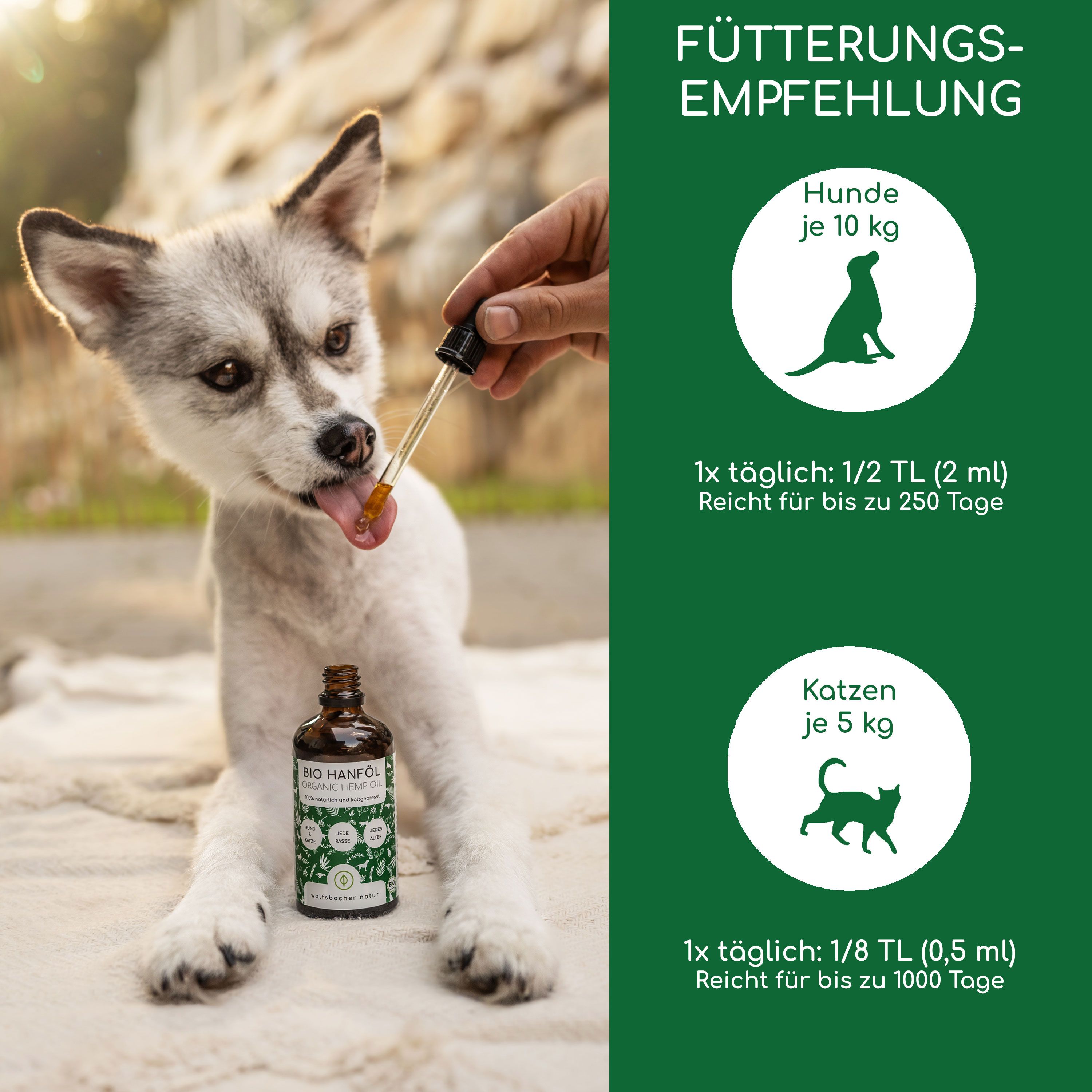 Welpe erhält Wolfsbacher Natur Bio Hanföl aus Pipette. Fütterungsempfehlung für Hunde und Katzen.