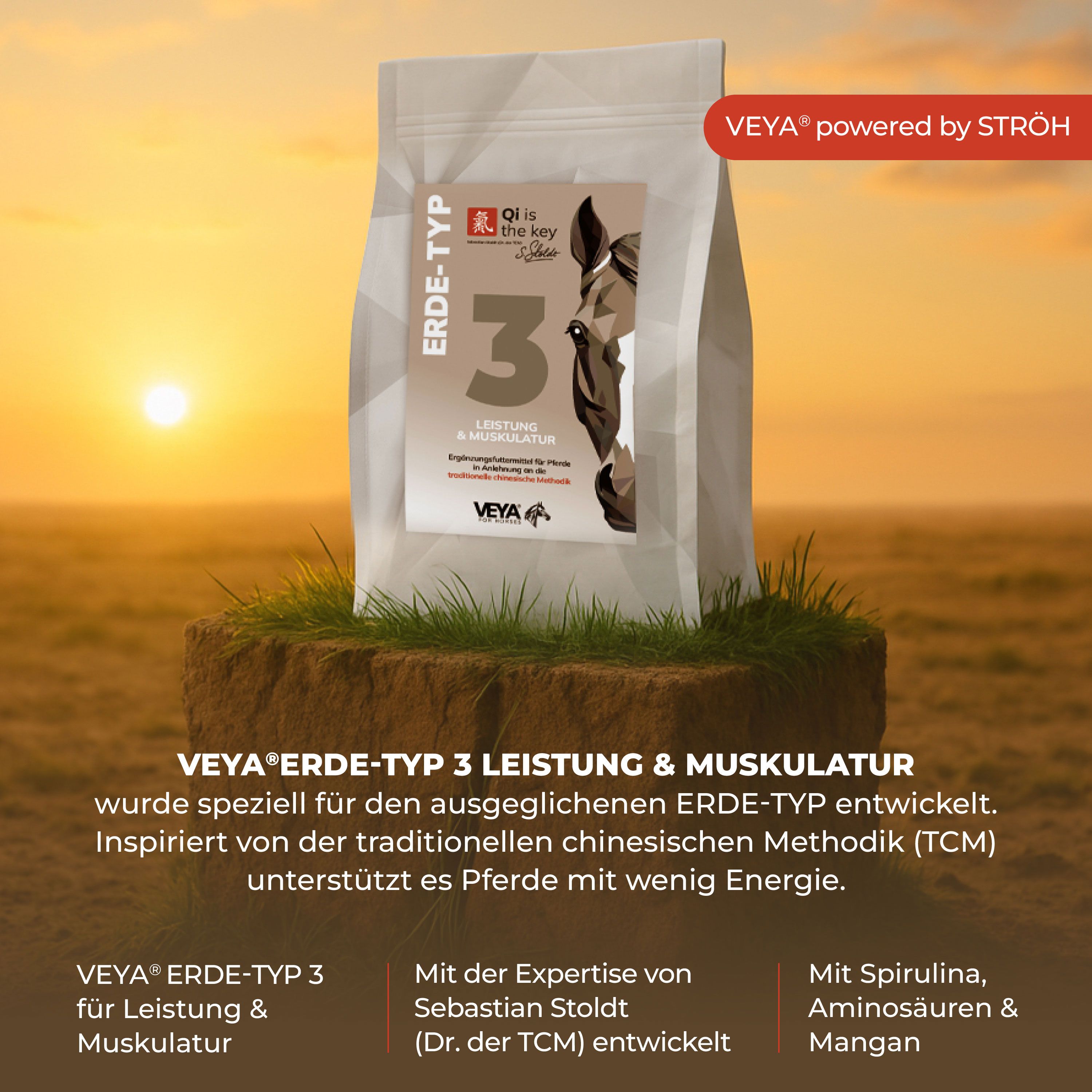 VEYA ERDE-TYP 3 Leistung & Muskulatur