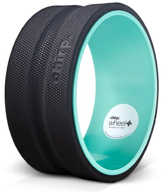 CHIRP 25,4 cm Wheel Plus – Fest