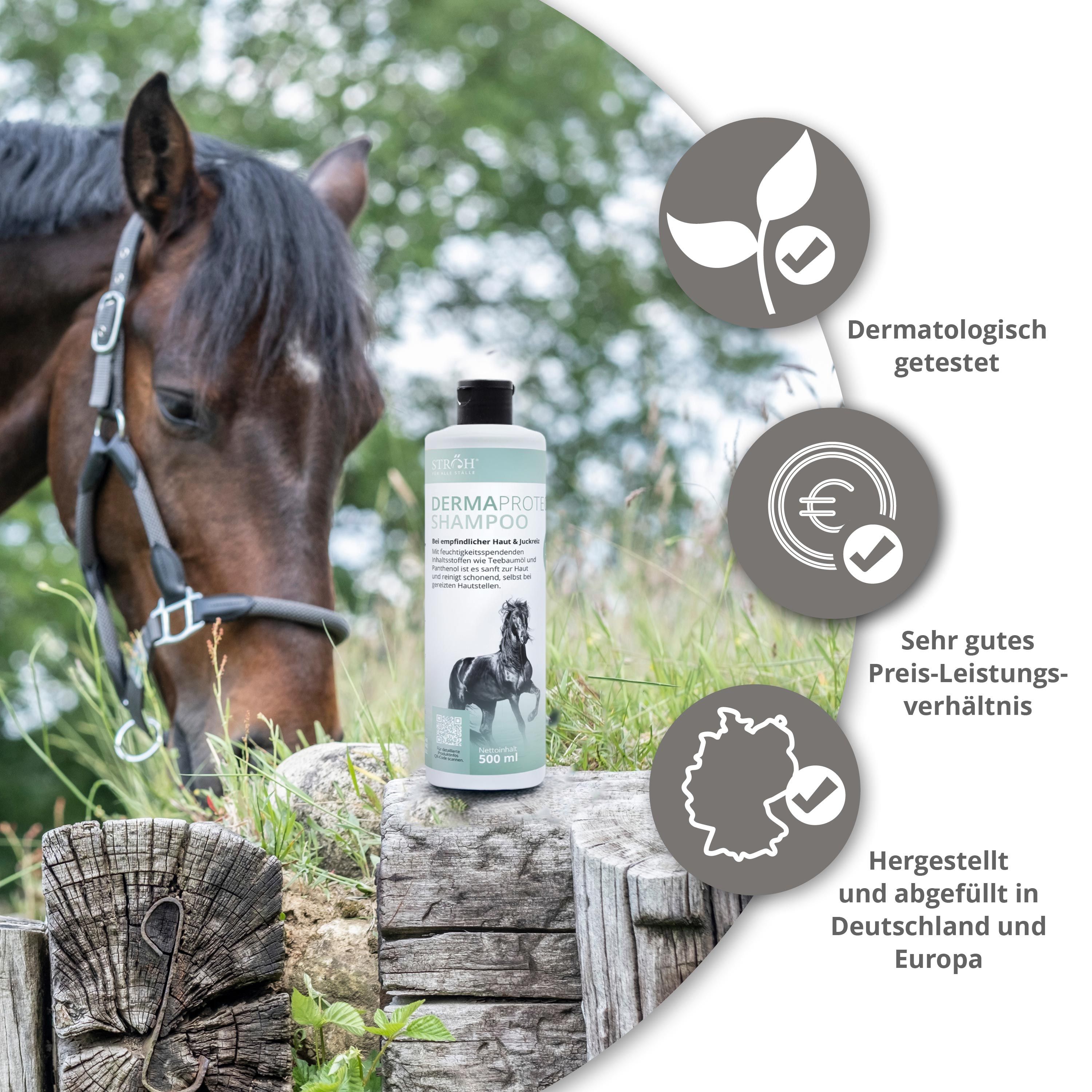 STRÖH DermaProtect Shampoo Flasche neben einem Pferd, mit Siegeln für Dermatologisch getestet.