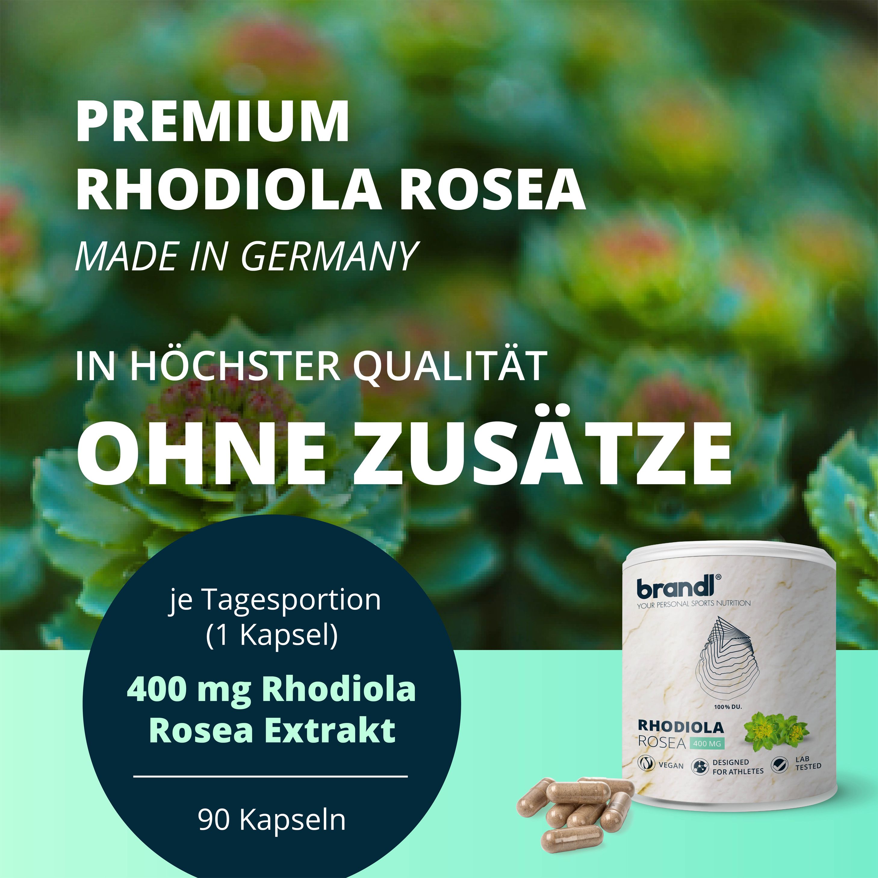 brandl® Rhodiola Rosea Extrakt (Rosenwurz) 90 St Kapseln