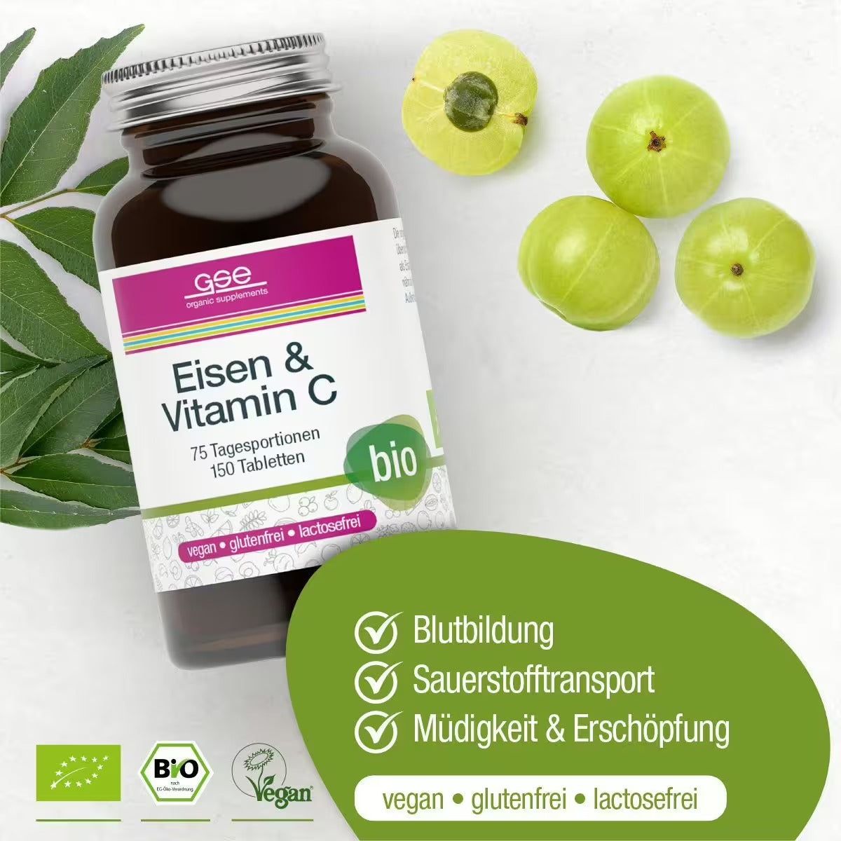 GSE Eisen & Vitamin C Complex (Bio)
