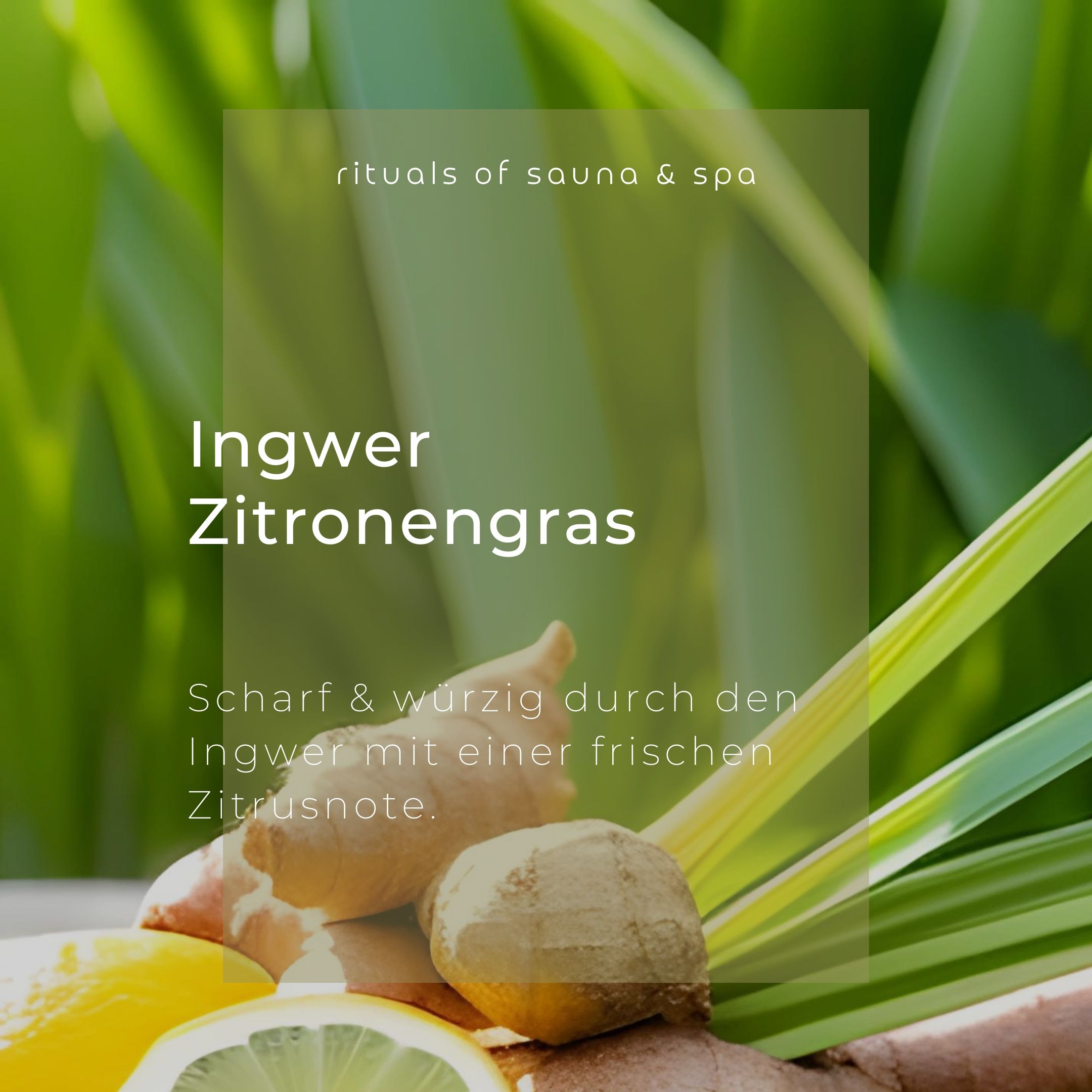 Wellow Sauna-Aufguss Ingwer-Lemongras