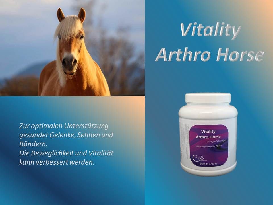 B. S. Vitality Arthro Horse 1000 g Pulver