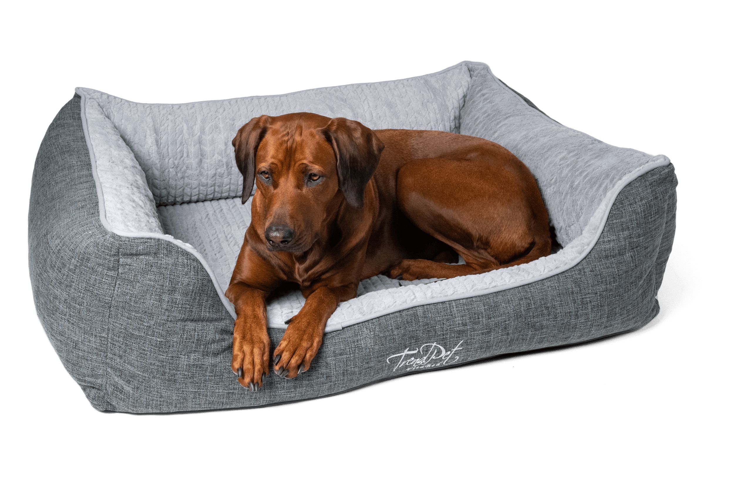 Graues Hundebett mit grauem Innenfutter. Ein brauner Hund liegt im Bett. TrendPet VitaBed-Logo.