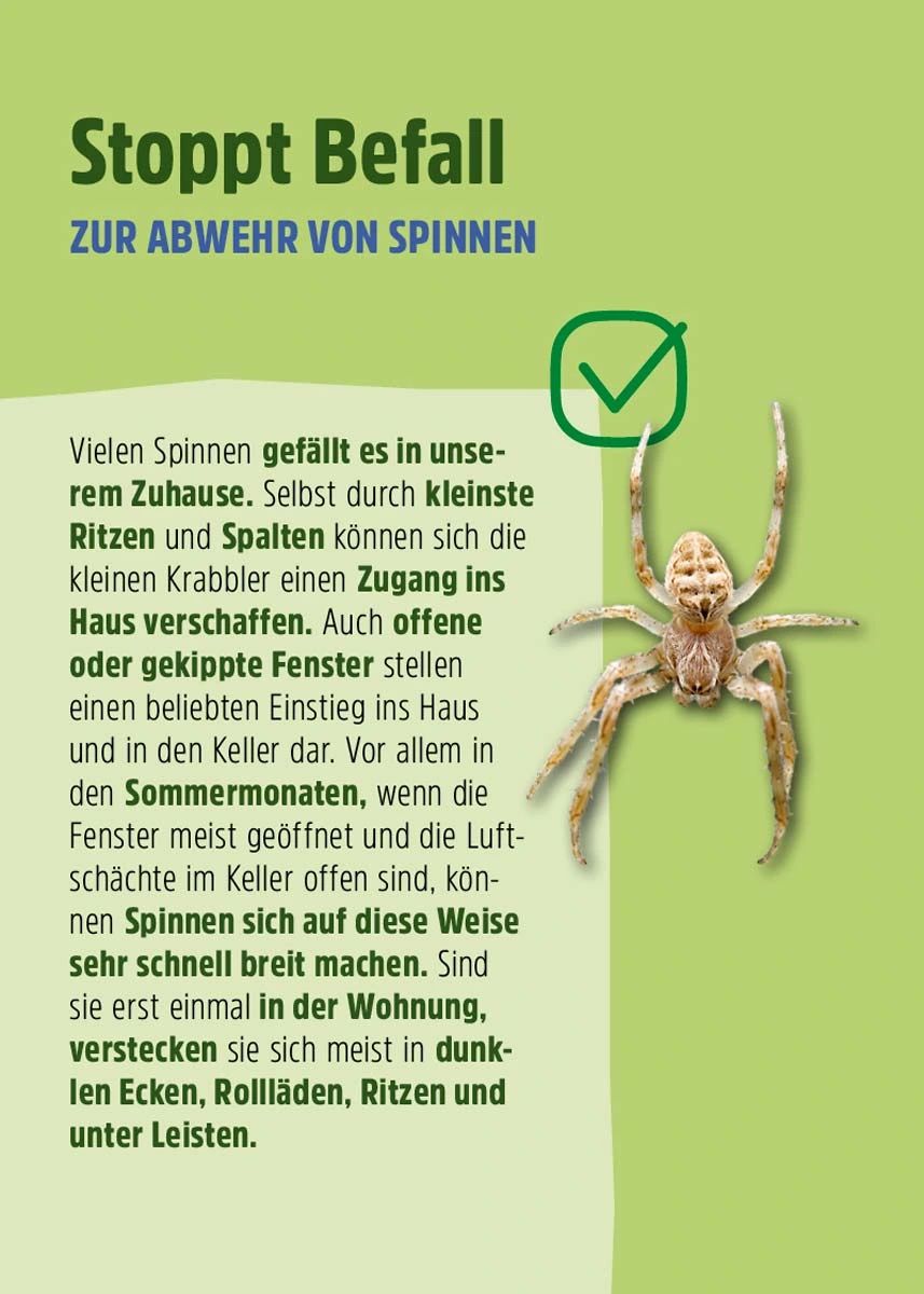 Anti Spinnenspray | Spinnen-Ex - Effektive Abwehr