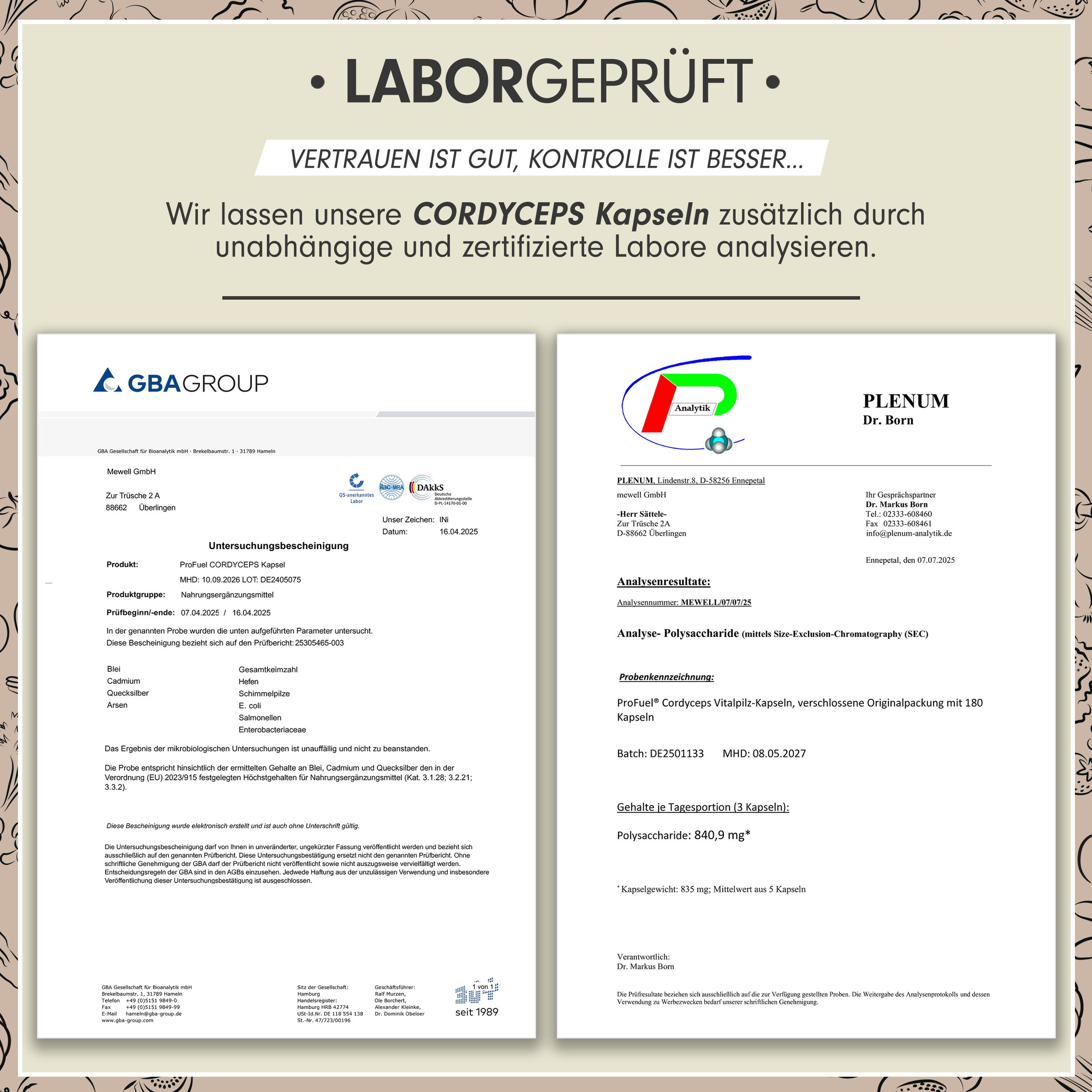 Profuel - Cordyceps Kapseln 180x - 2100 mg Vitalpilz-Extrakt aus Cordyceps sinensis - 540 Kapseln