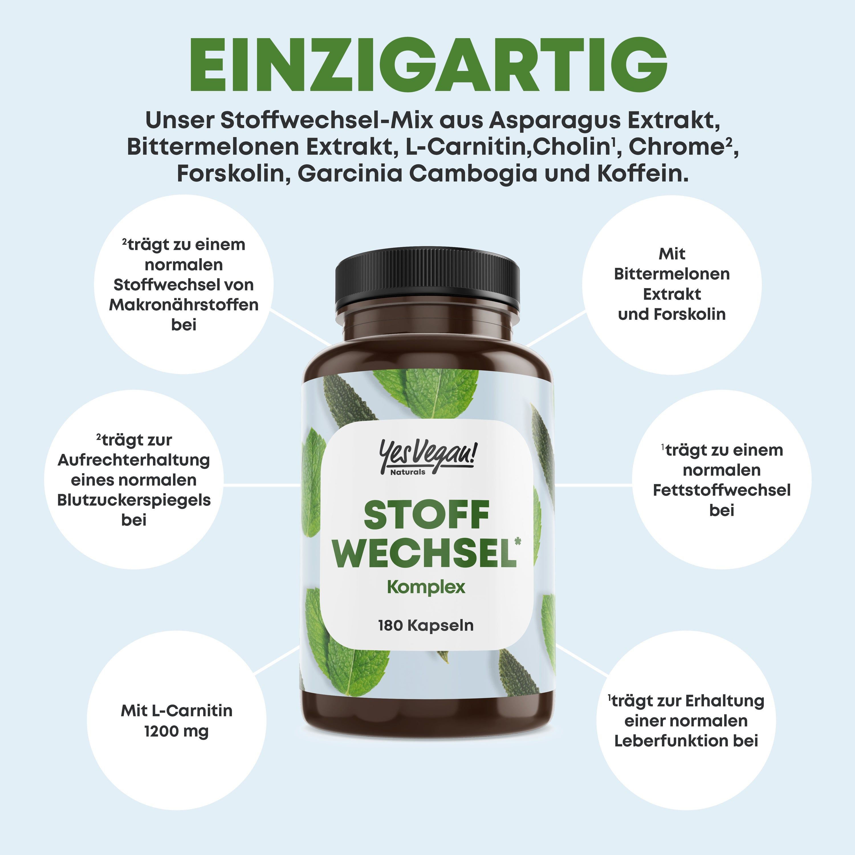 Braune Flasche mit Kapseln. Text: Yes Vegan! Stoffwechsel Komplex, 180 Kapseln. Kreise mit Inhaltsstoff-Informationen.