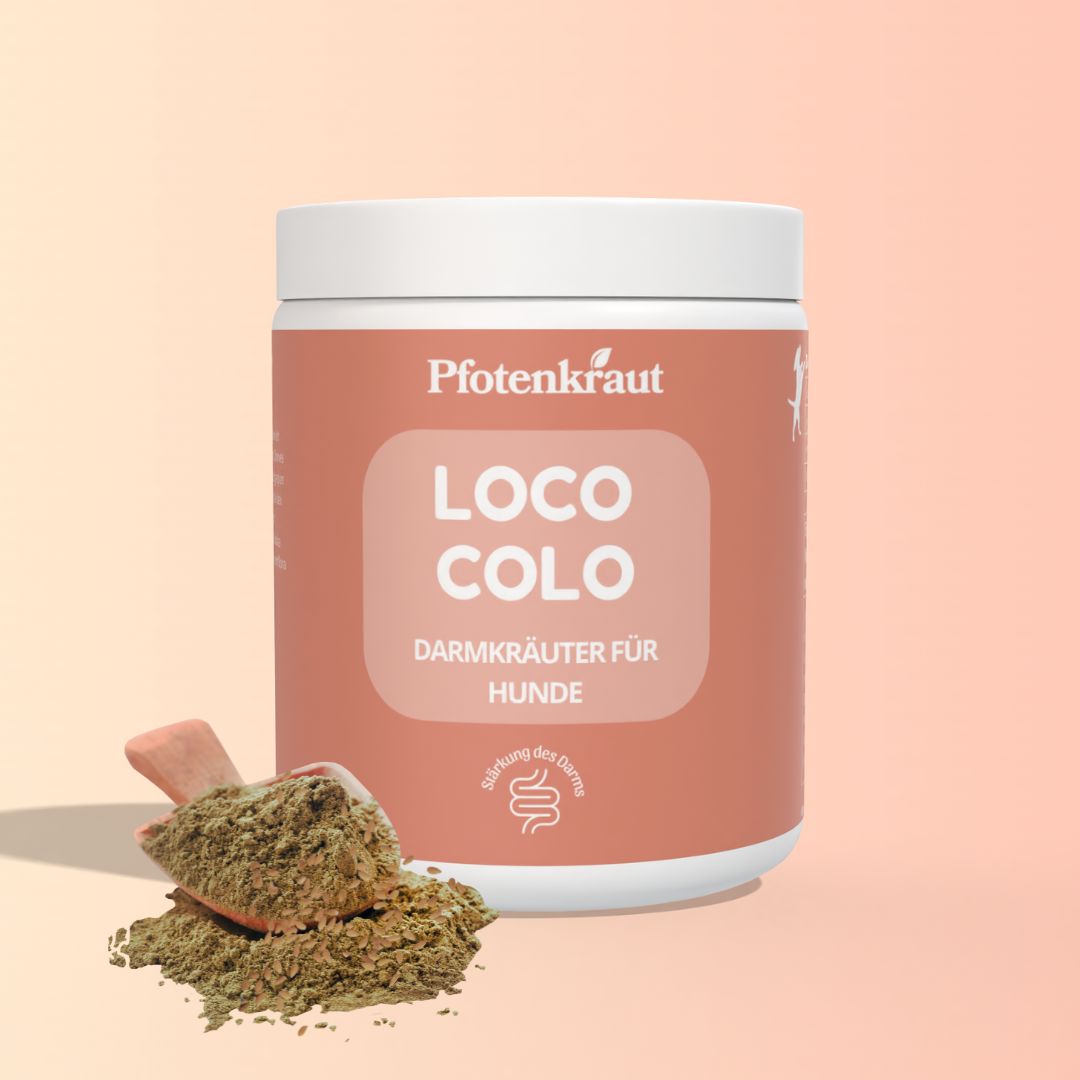 Pfotenkraut Darm Kräuter LOCO COLO