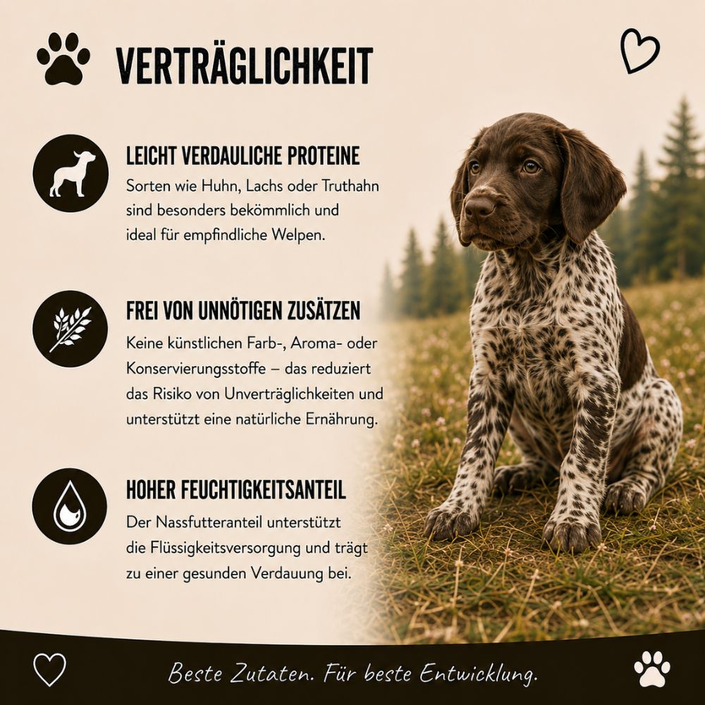 Verträglichkeit der Wildfang Genussbox Junior für Hunde.