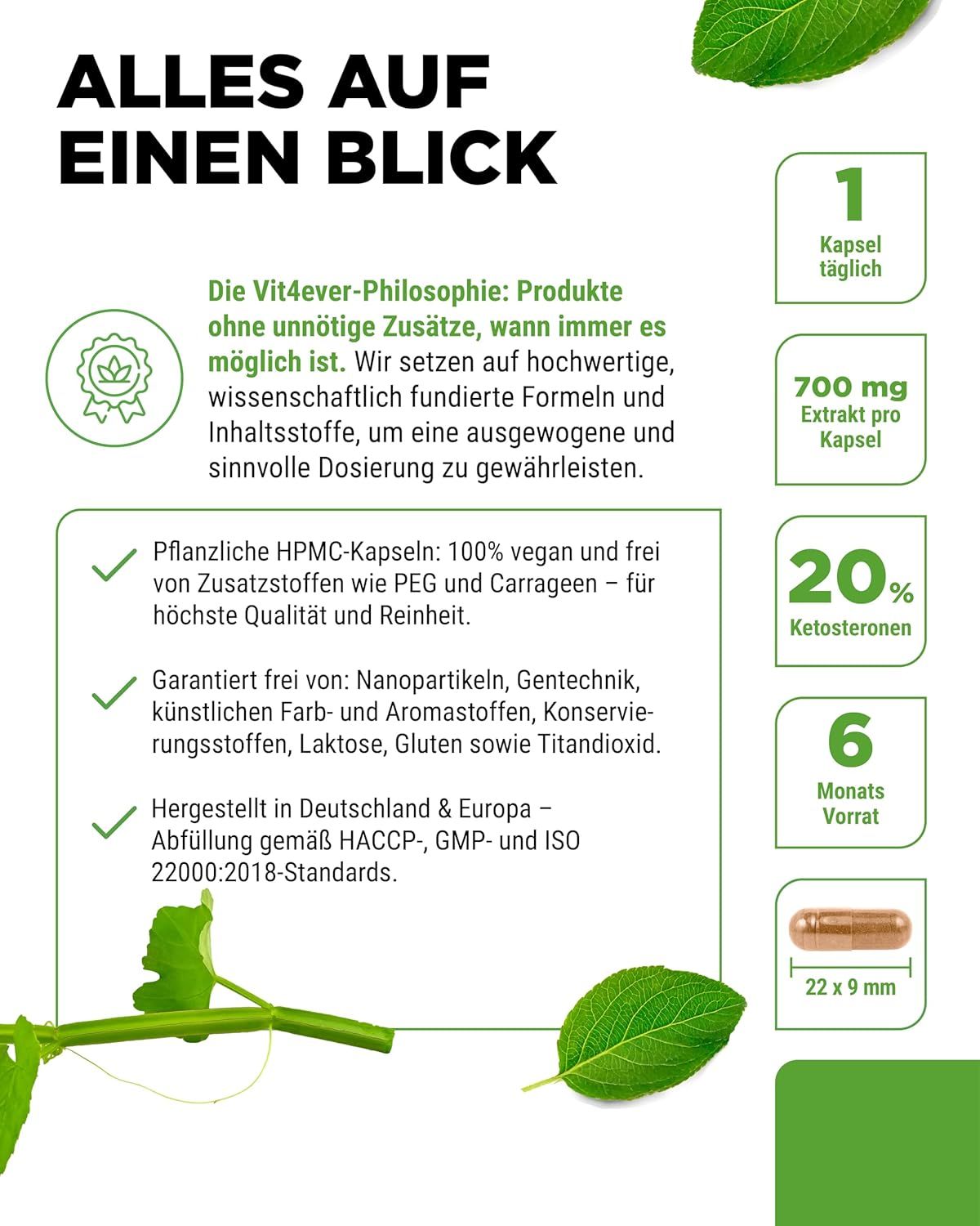 Vit4ever Cissus Quadrangularis Intenso Kapseln mit Dosierungs- und Inhaltsangaben.
