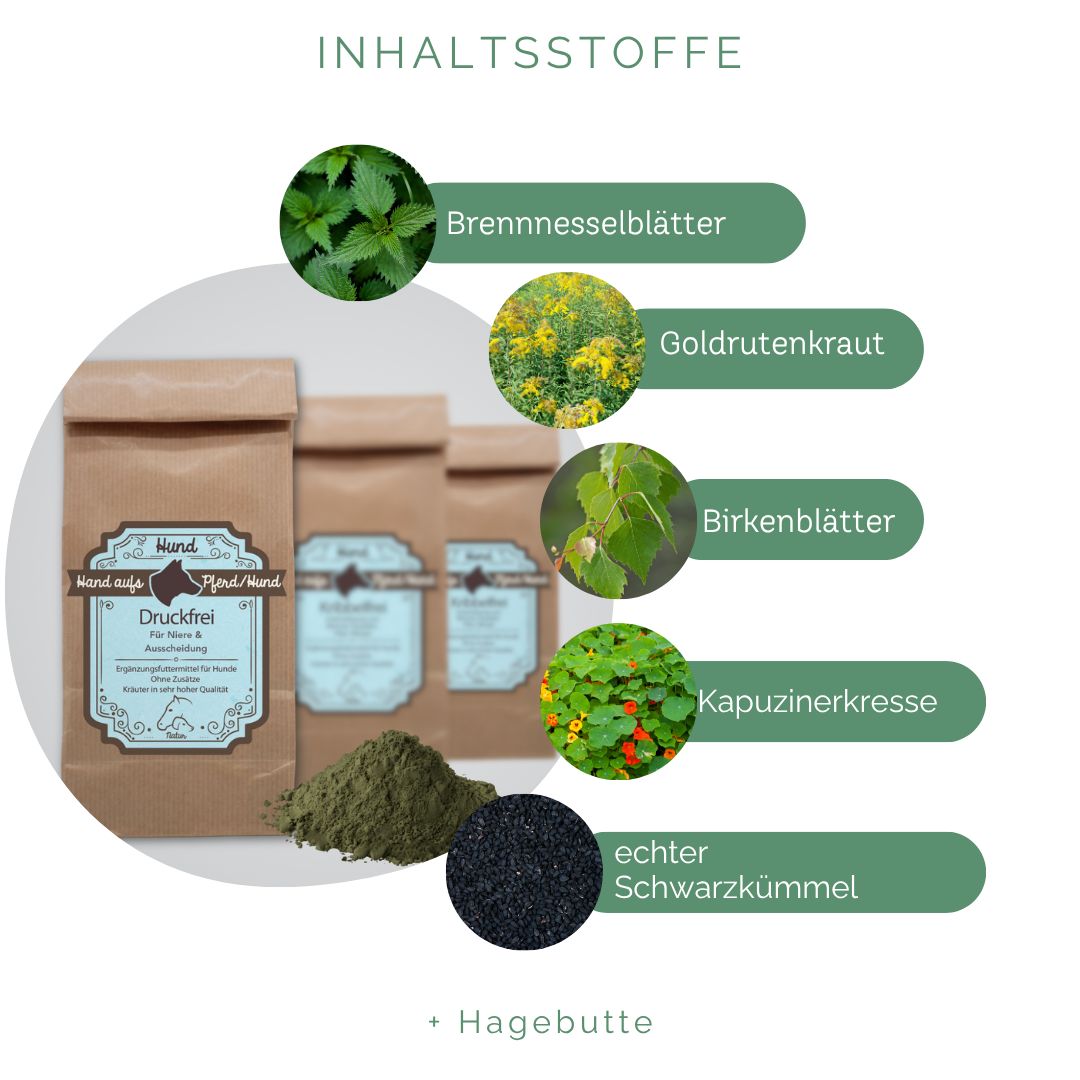 Drei braune Papiertüten mit blauem Etikett und Produktnamen. Daneben ein grünes Kräuterpulver. Grafiken von Kräutern und Text: "Inhaltsstoffe".