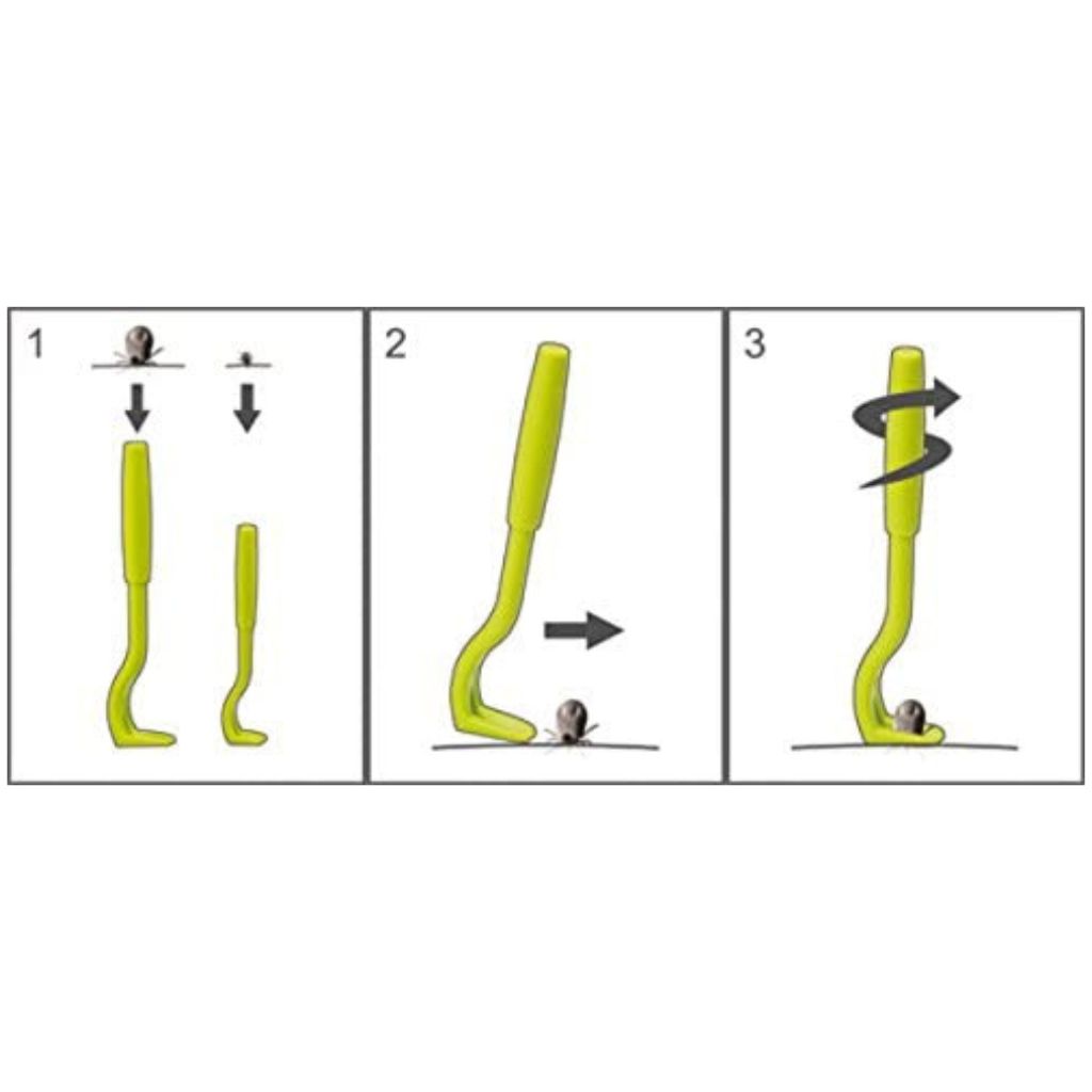 Tick Twister Clipbox mit 3 Zeckenhaken Grün - O'Tom