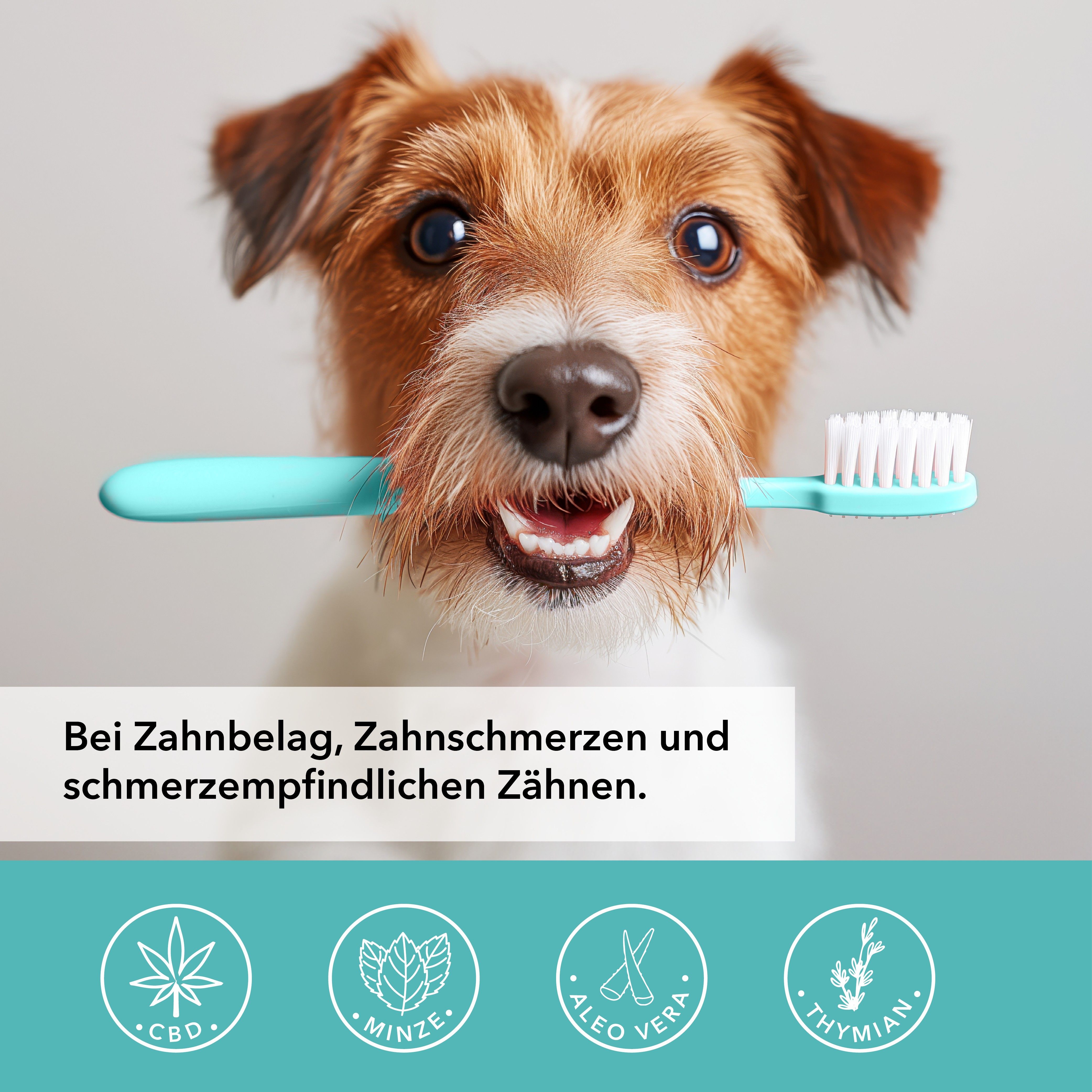 TAMACAN Dental Gel für Hunde - Zahnpflege mit CBD