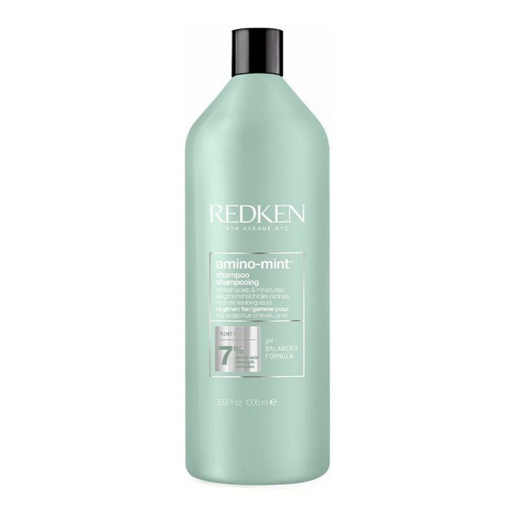 Shampoo Redken Amino Mint