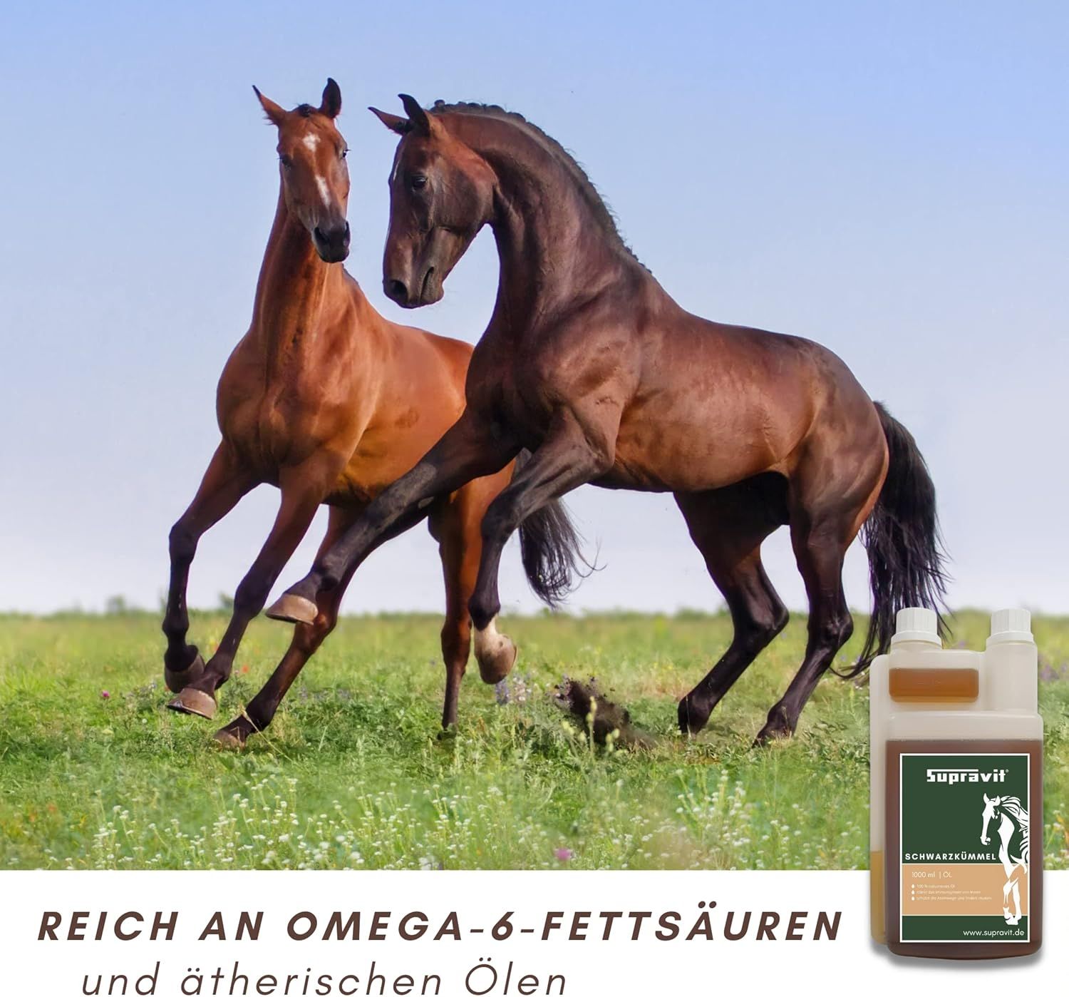 Supravit Schwarzkümmelöl für Pferd & Hund – 1 l Dosierflasche | frisch kaltgepresst & 100% naturrein