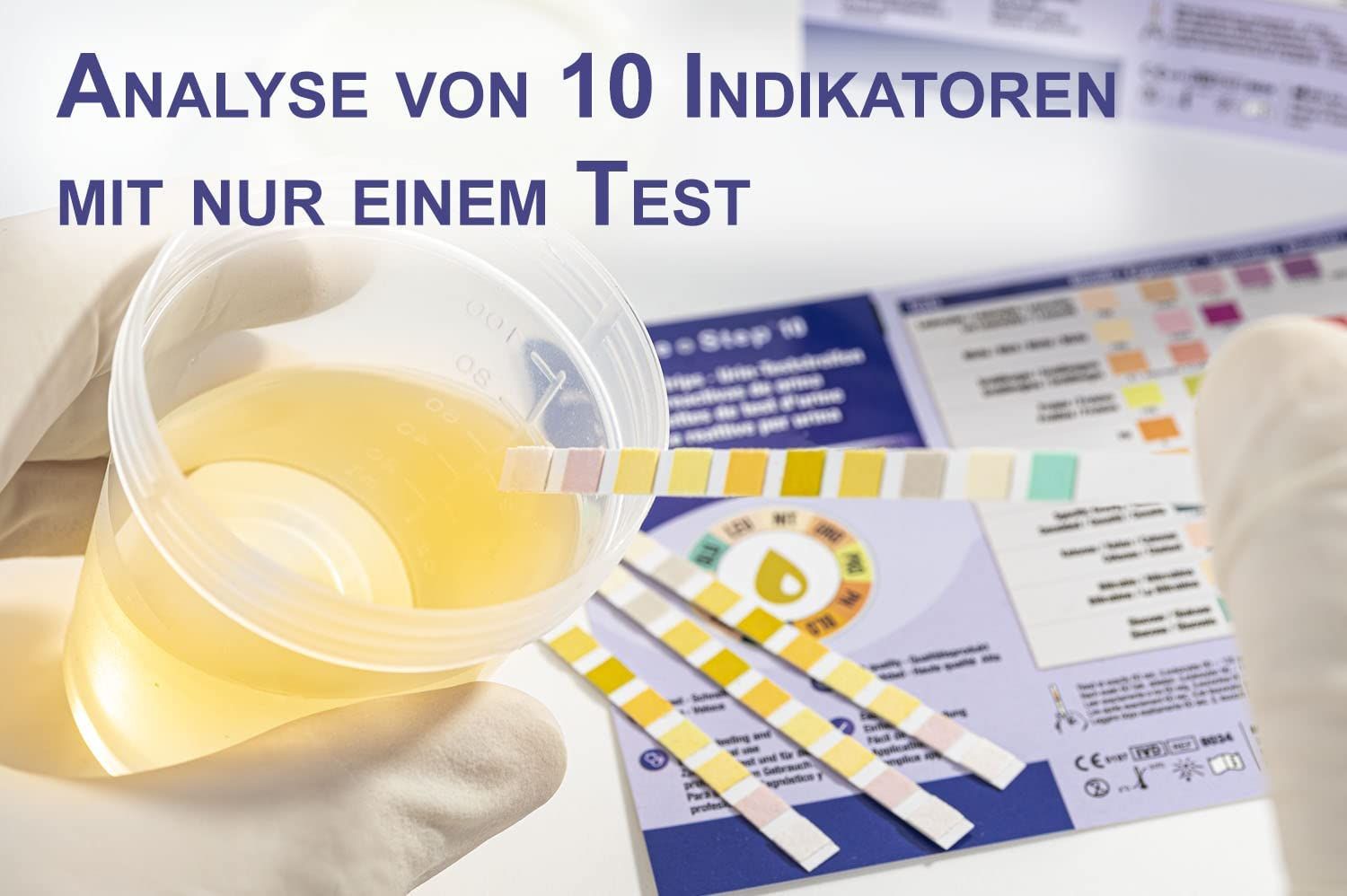 One+Step Urinteststreifen für 10 Indikatoren - Gesundheitstest inkl. Referenzfarbkarte