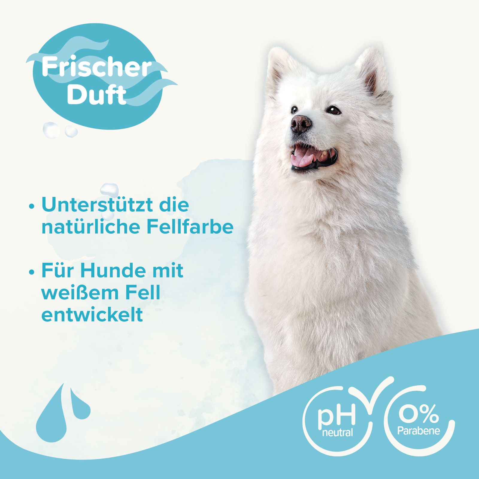 Weißer Hund. Text: Frischer Duft, unterstützt die natürliche Fellfarbe, für Hunde mit weißem Fell entwickelt. pH neutral, 0% Parabene.
