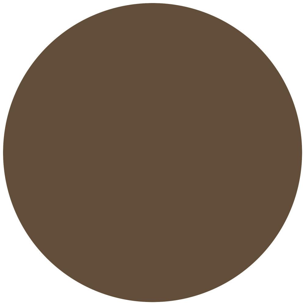 Kreisförmige Darstellung einer braunen Farbe. Keine weiteren Details erkennbar.